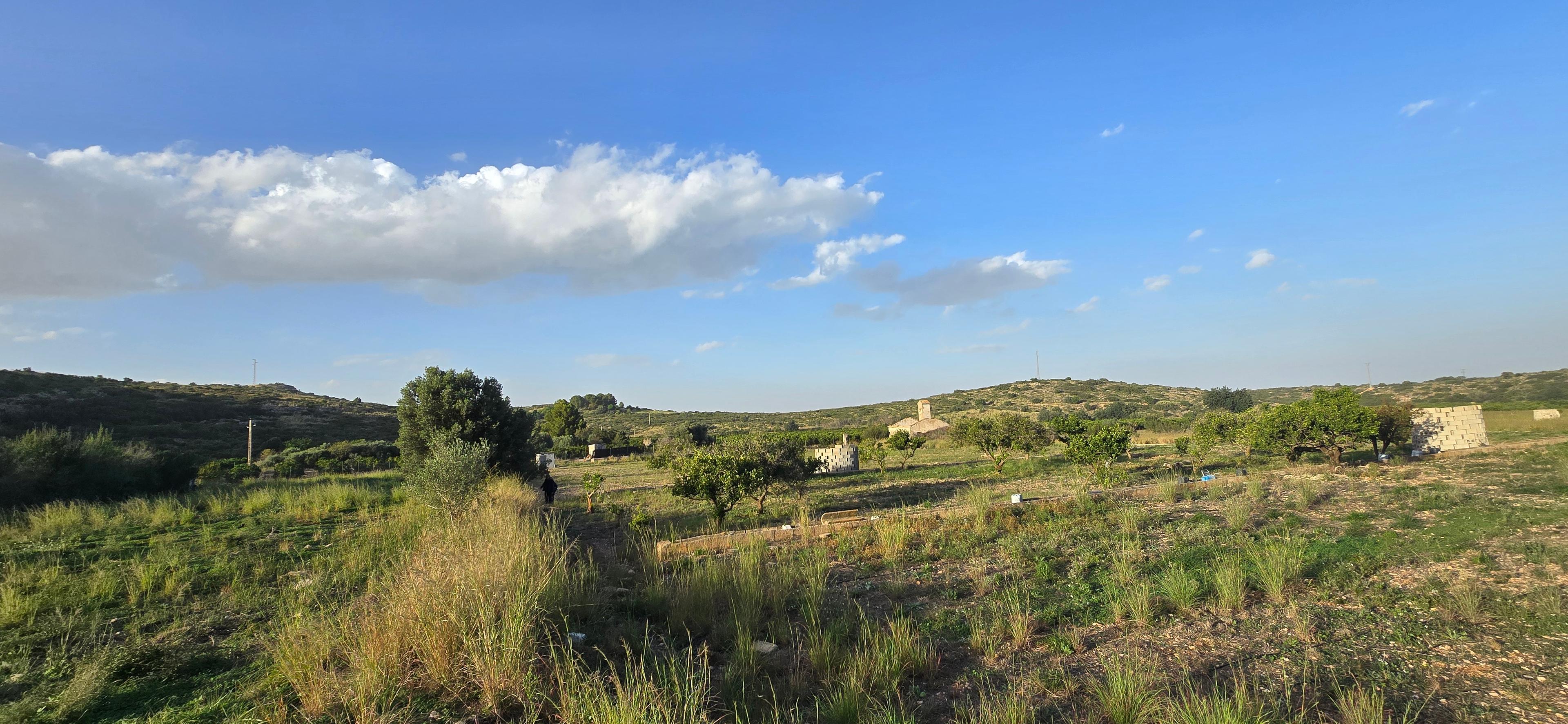 No Edificio en Venta en Carrer Barranc de Portelles - 16
