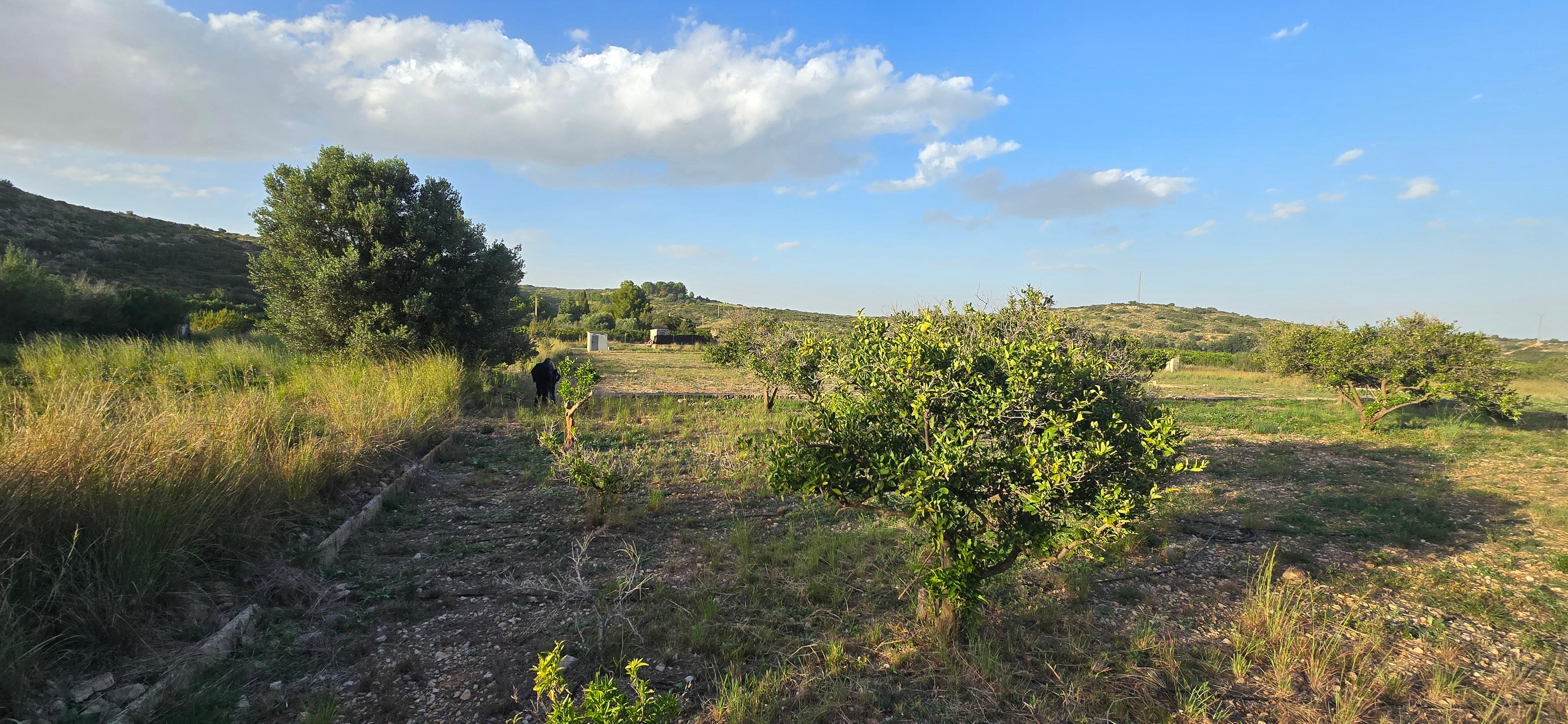 No Edificio en Venta en Carrer Barranc de Portelles - 20