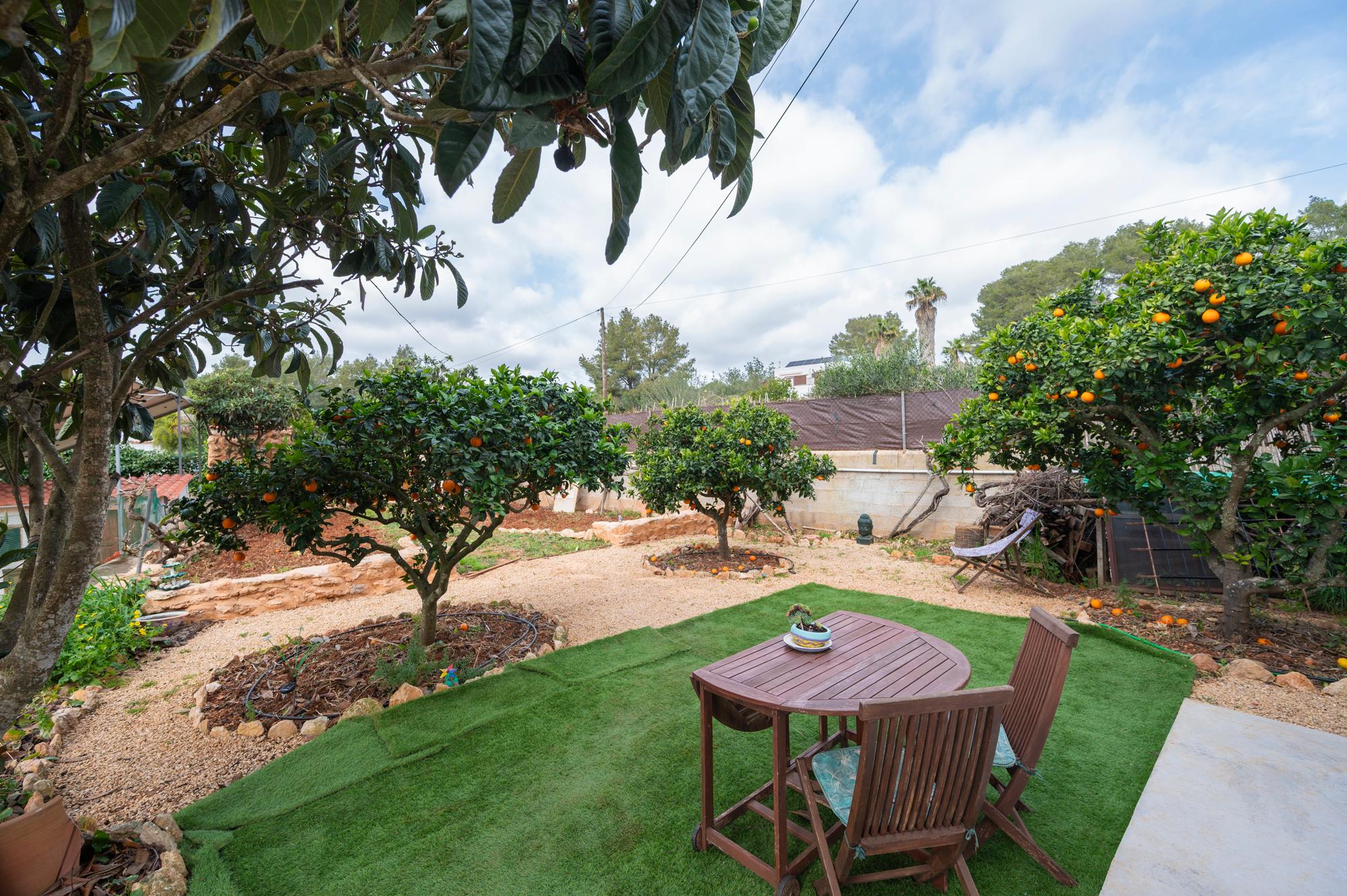 Casa en Alquiler en Ibiza - 17