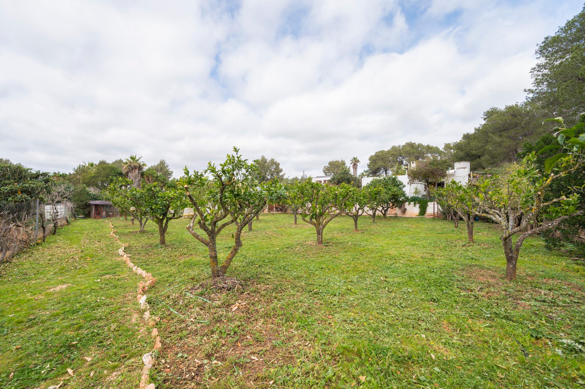 Casa en Alquiler en Ibiza - 19
