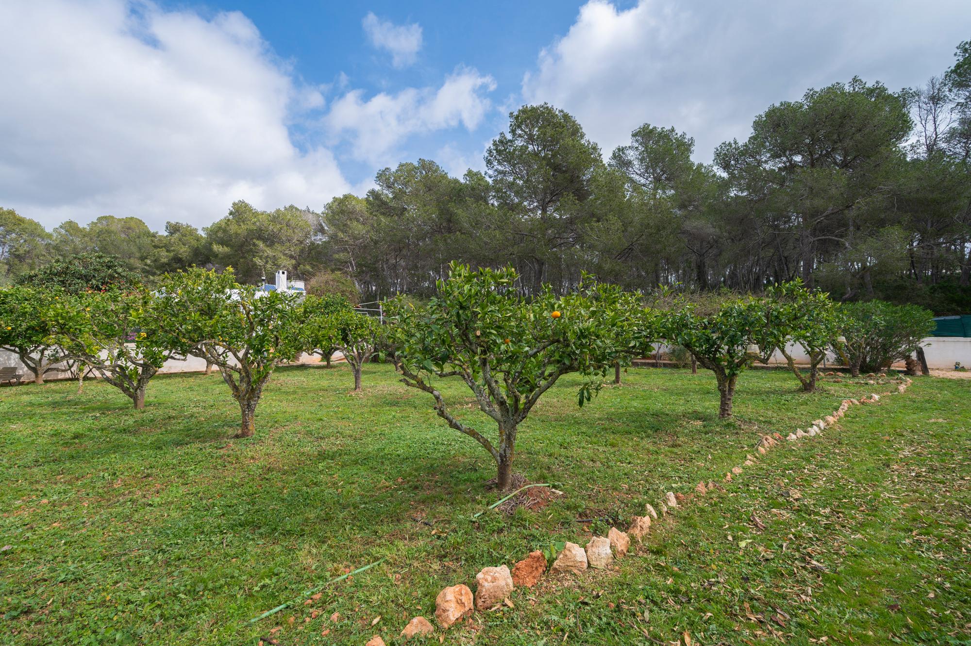 Casa en Alquiler en Ibiza - 22