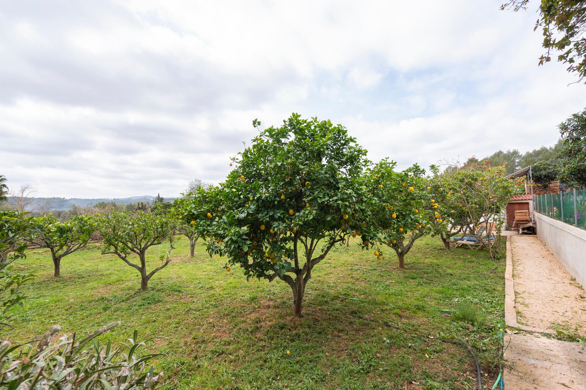 Casa en Alquiler en Ibiza - 26