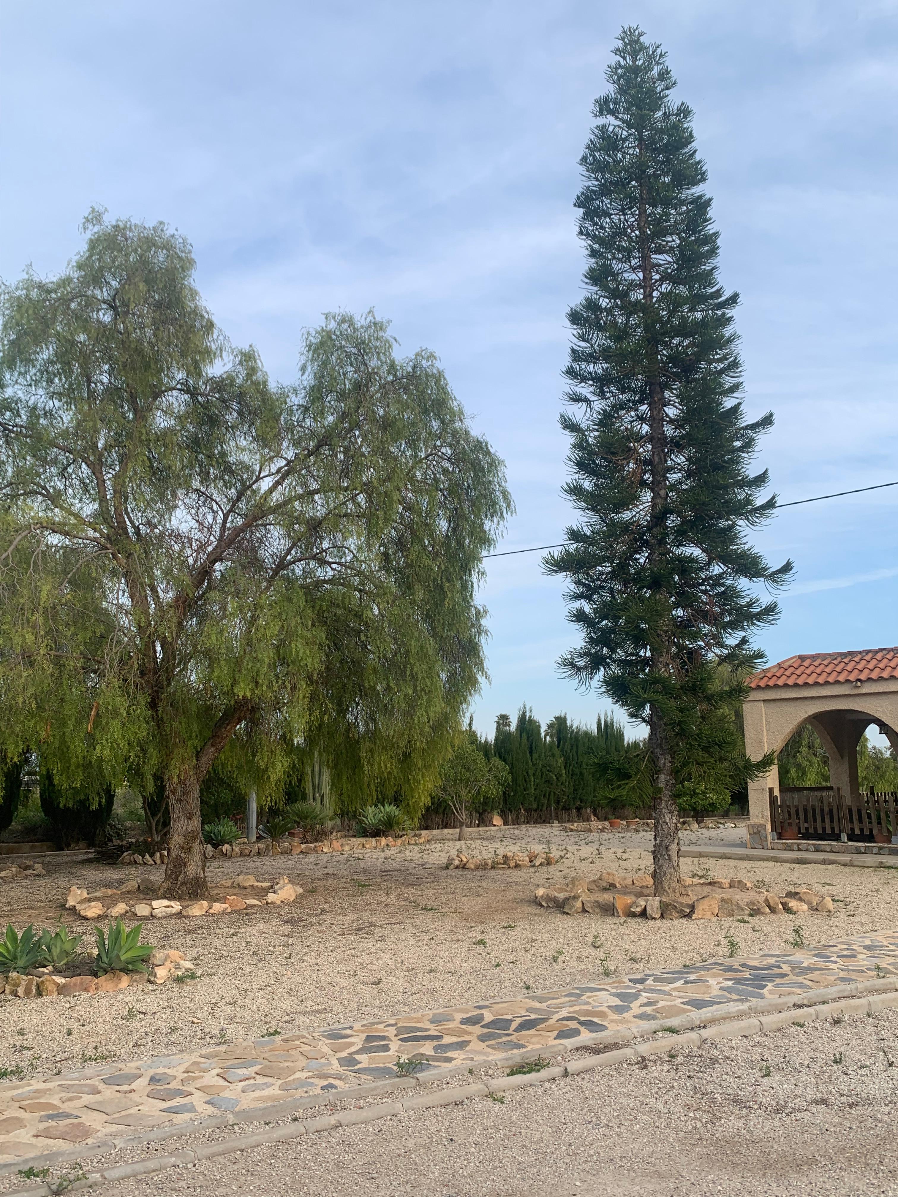 Casa en Venta en - Alicante  - 4