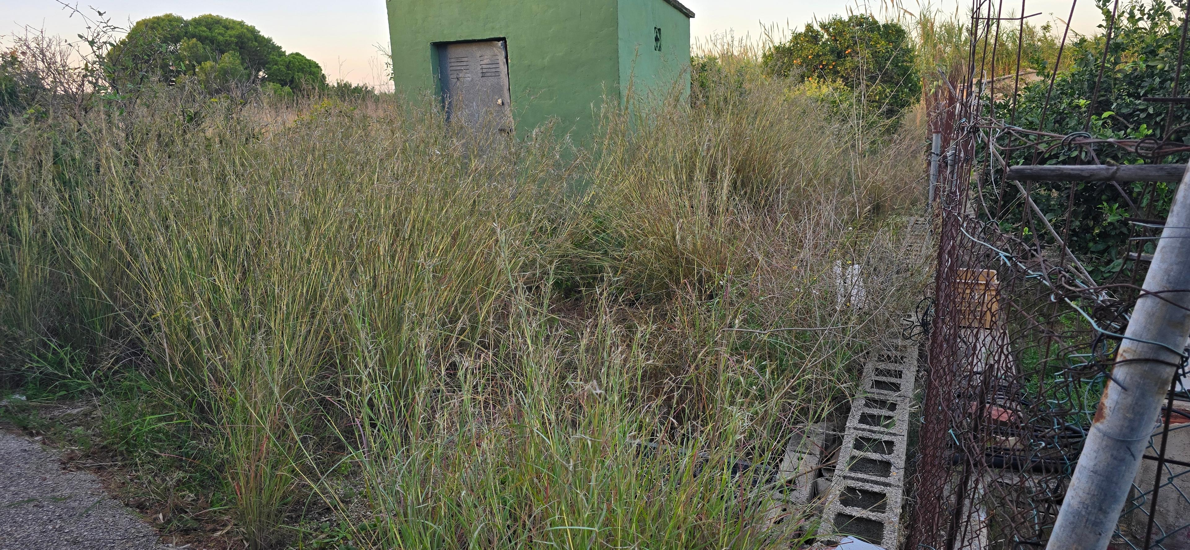 Terreno No Urbanizable en Venta en Camí de Gandia a Dénia - 4