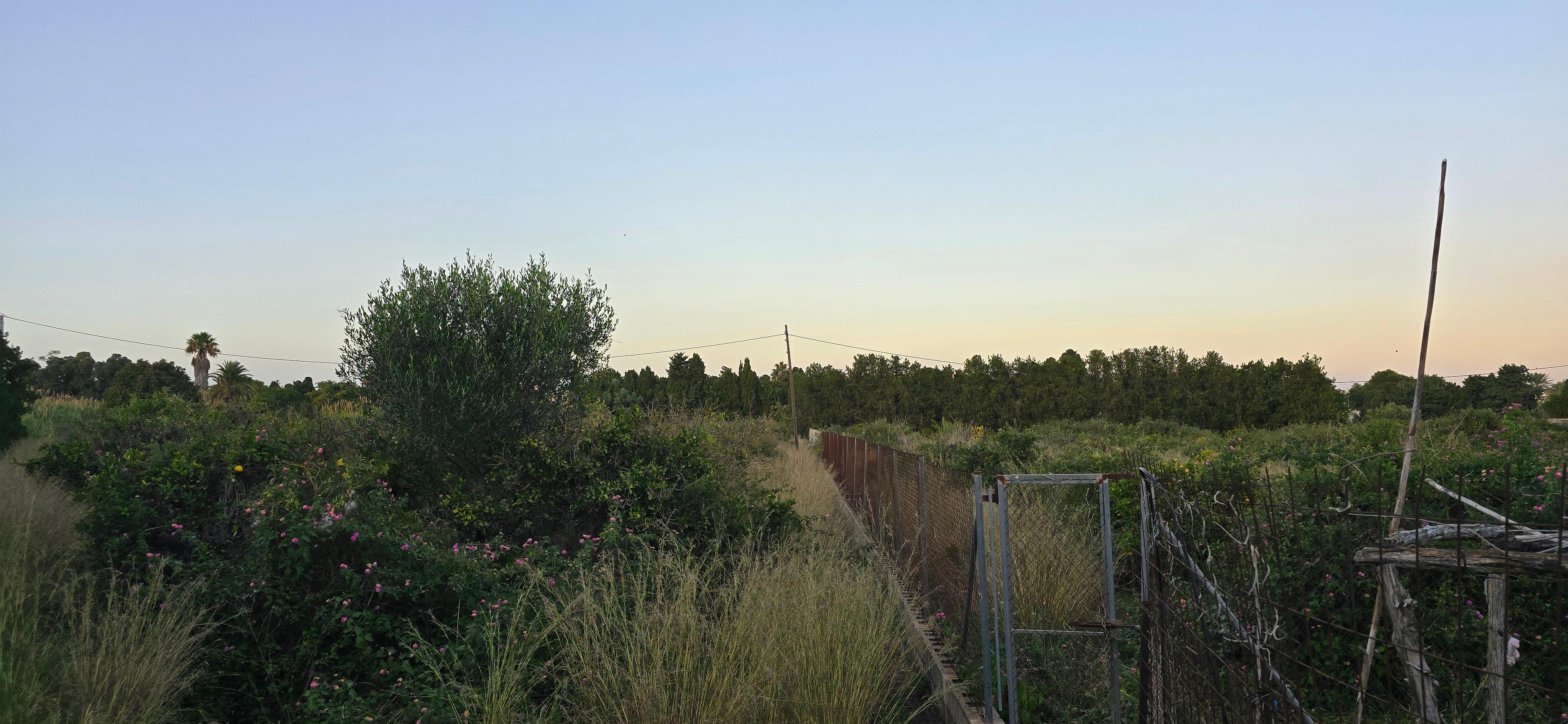 Terreno No Urbanizable en Venta en Camí de Gandia a Dénia - 10