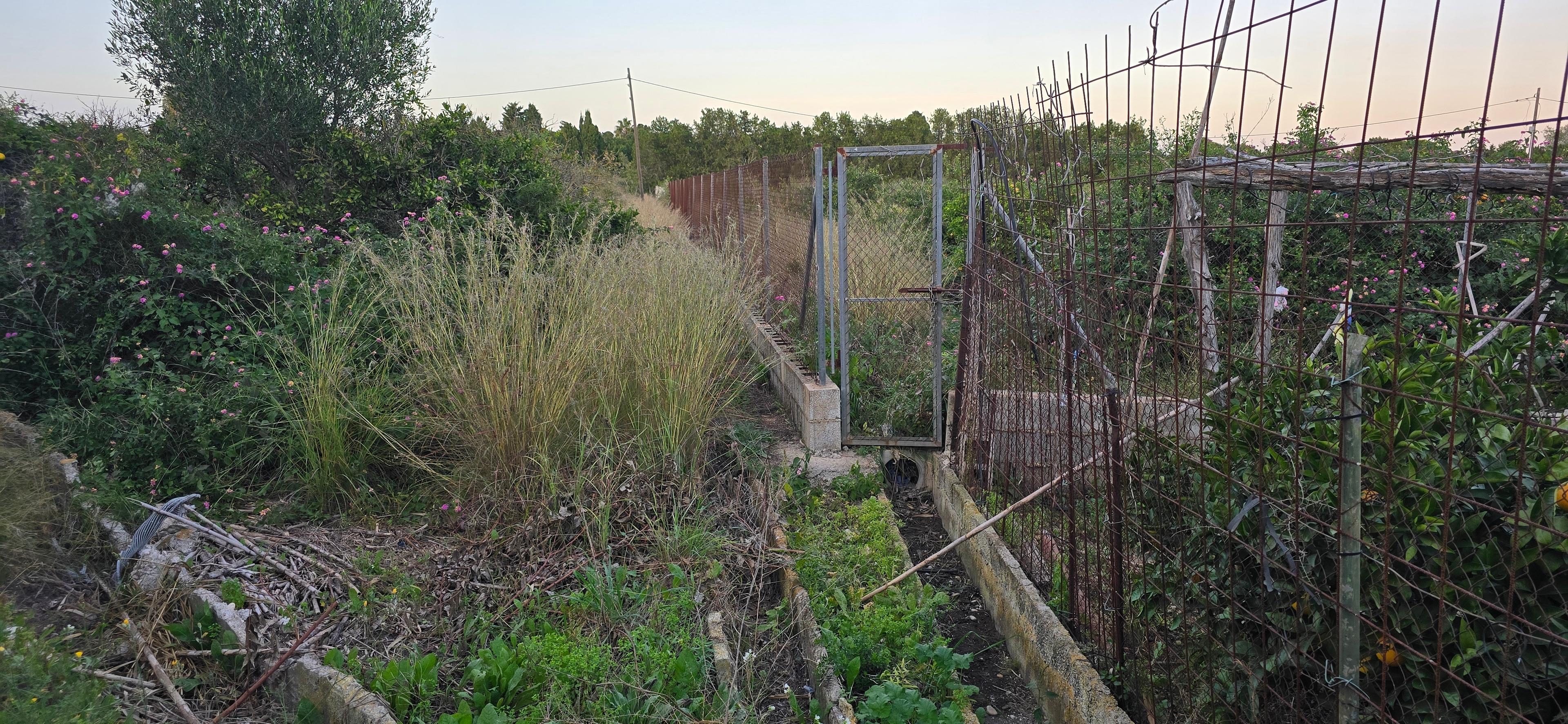 Terreno No Urbanizable en Venta en Camí de Gandia a Dénia - 8