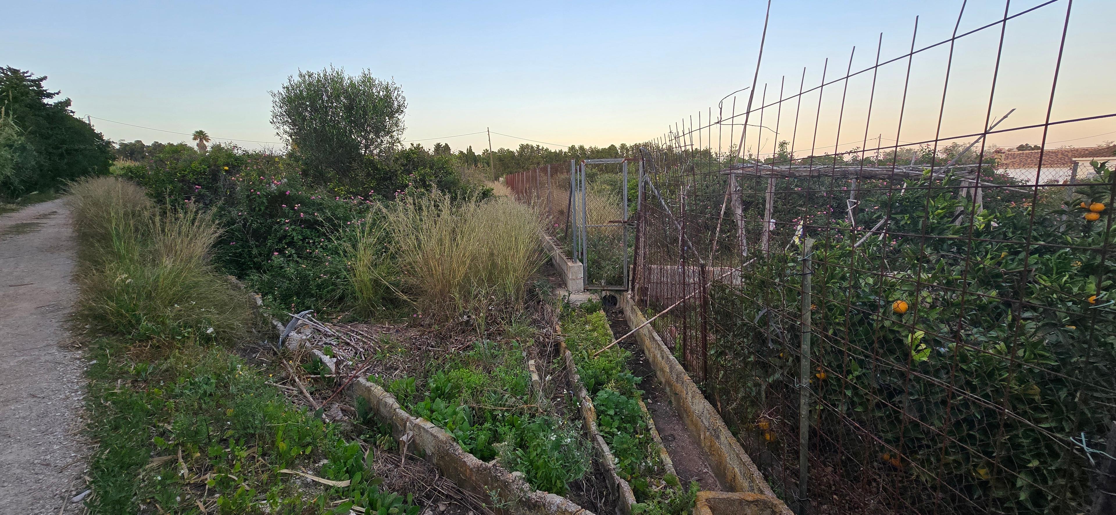 Terreno No Urbanizable en Venta en Camí de Gandia a Dénia - 7