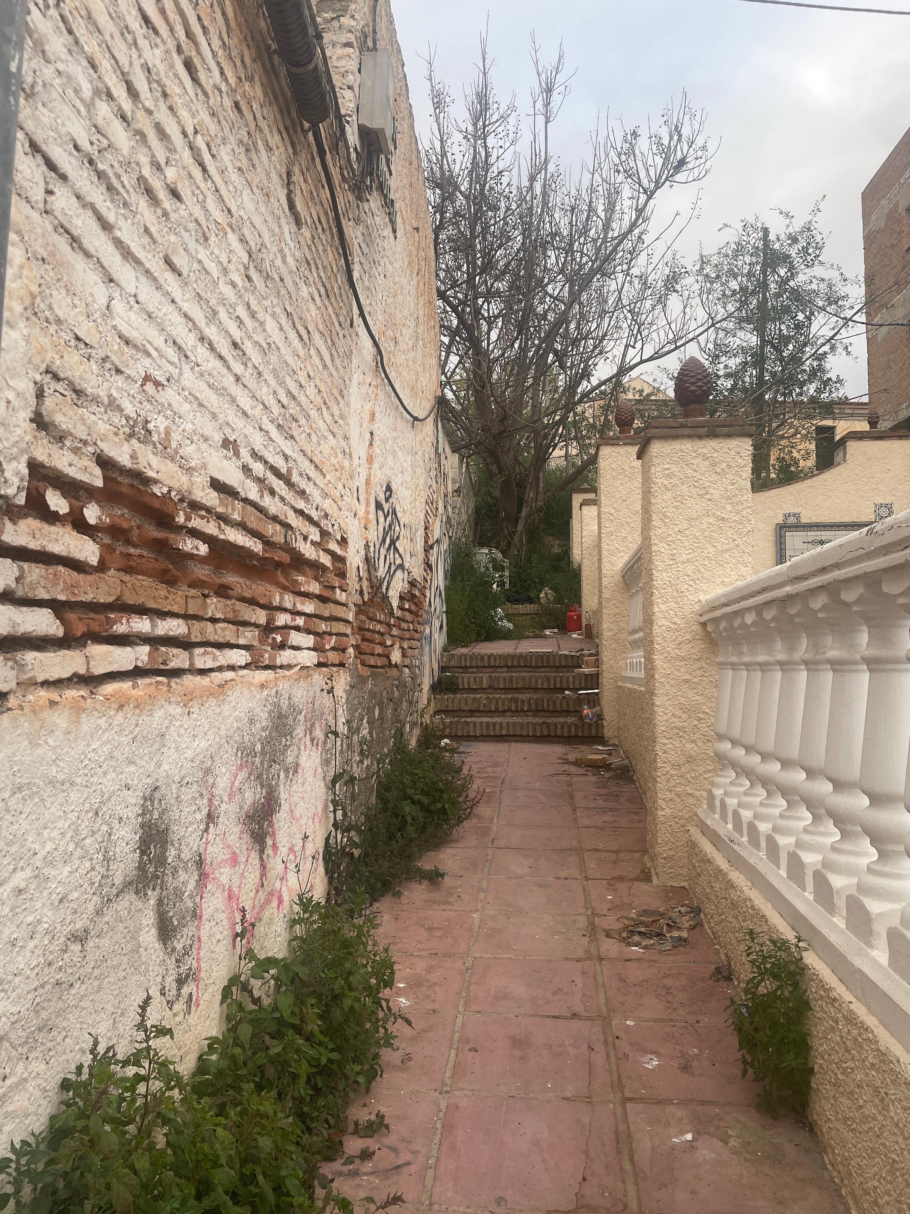 Parcela en Venta en C. Fernando Chirino - 7