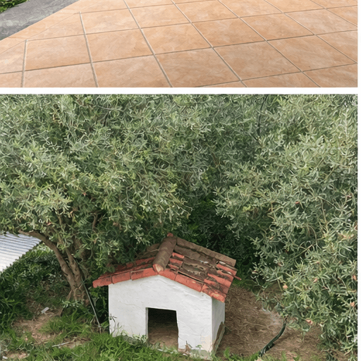 Casa Rural en Venta en Carretera Sevilla-Brenes - 6