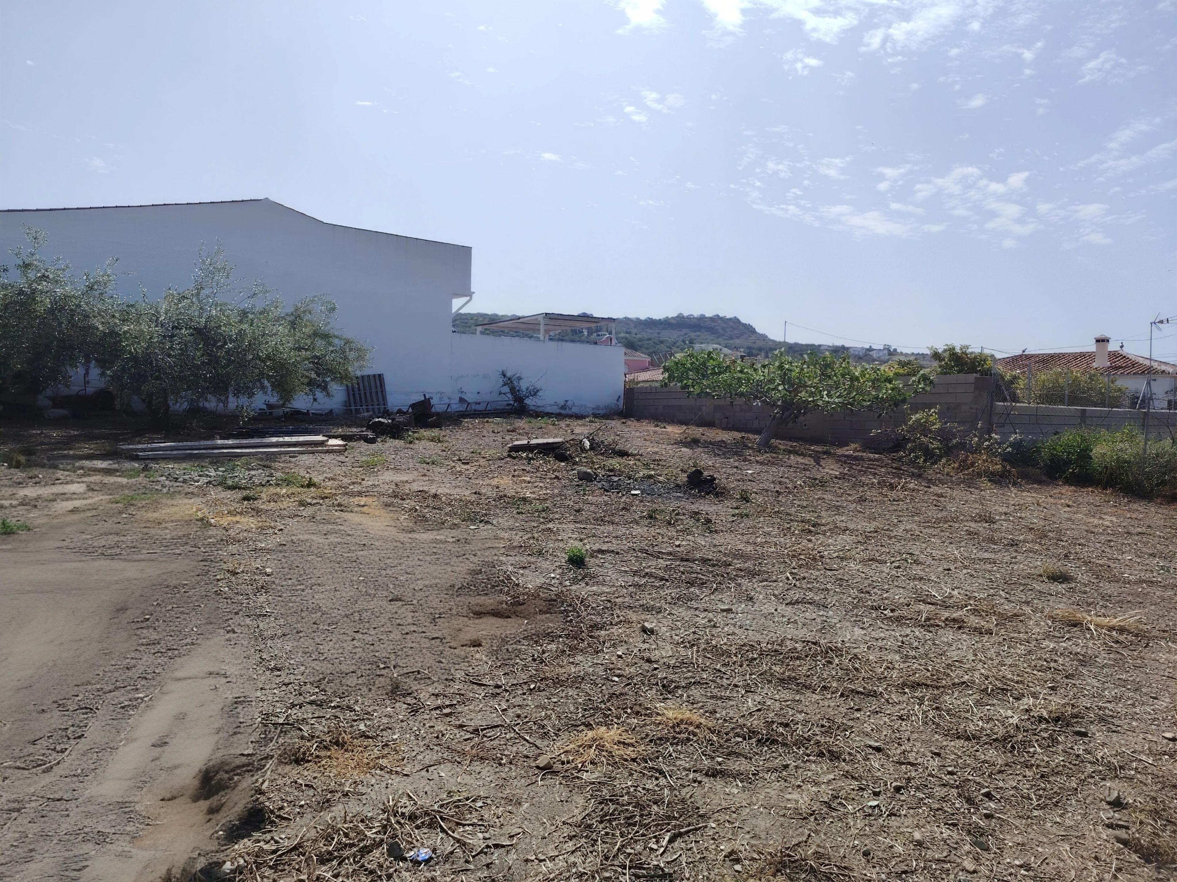 Parcela en Venta en Urbanizacion El Olivar De Buena Vista - 2