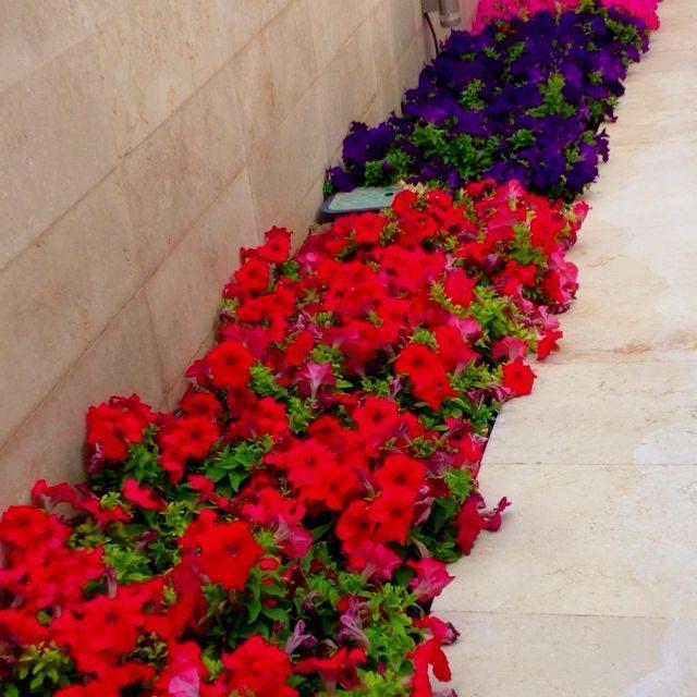 Villa en Venta en Cami Ermita Nova - 19