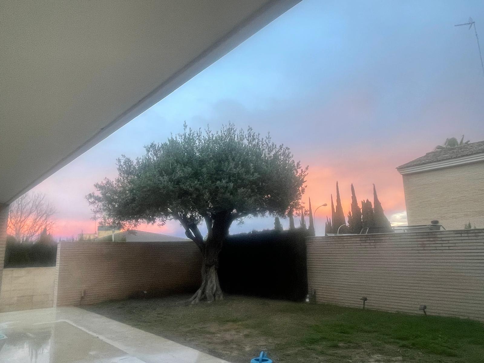 Villa en Venta en Cami Ermita Nova - 25