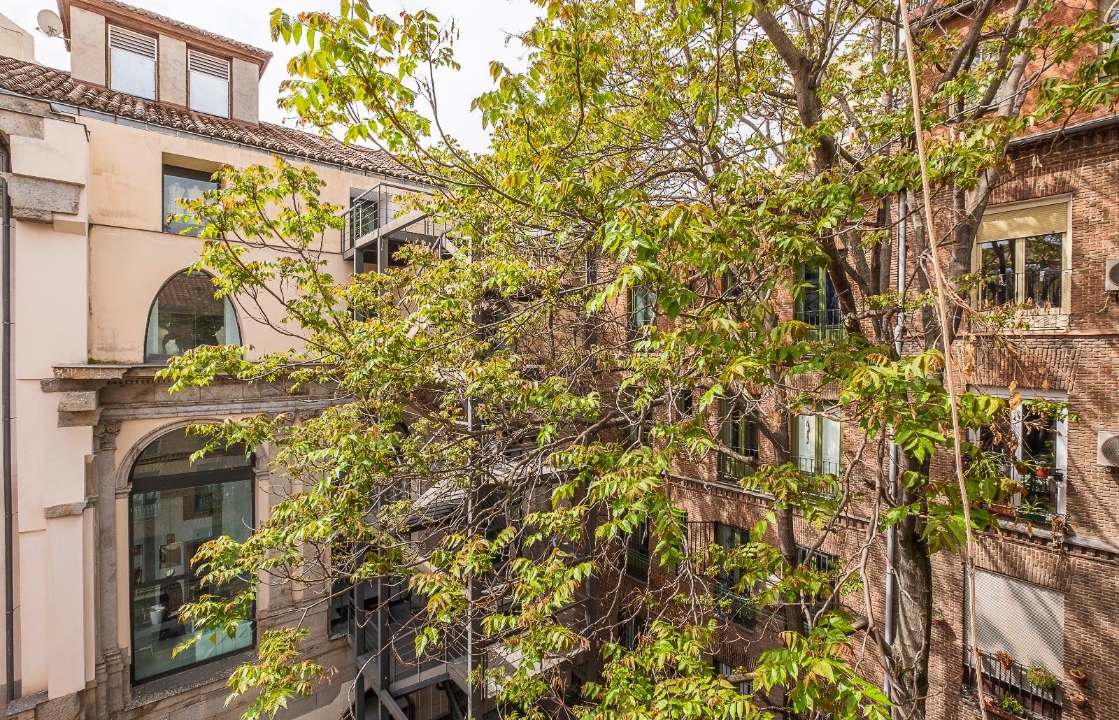 Piso en Venta en C. del Marqués de Leganés - 14