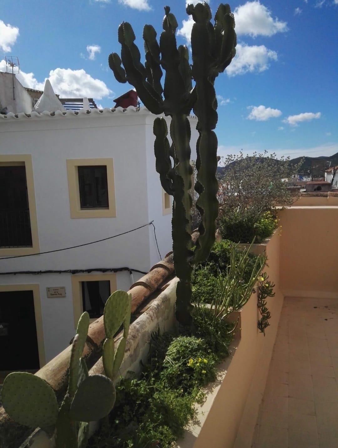 Duplex en Alquiler en Carrer de Sant Lluís - 16