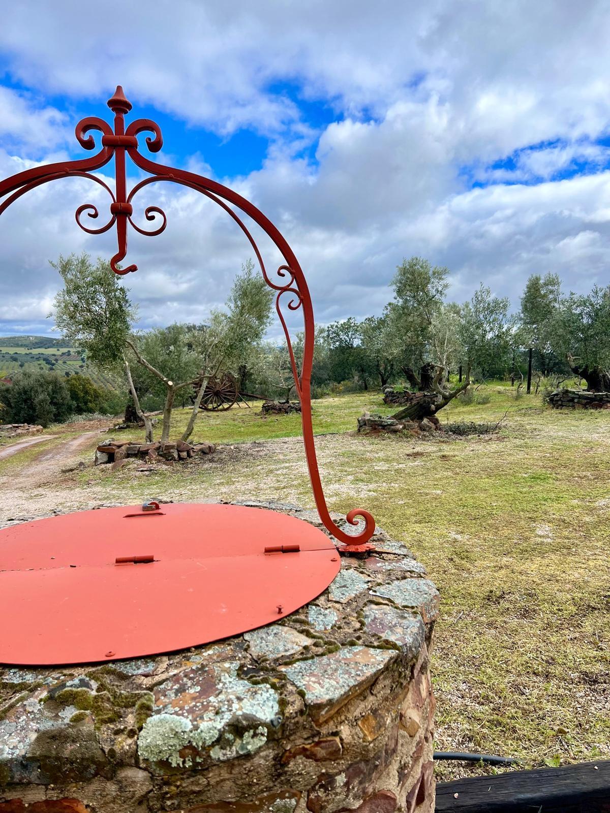 Villa en Venta - Ciudad Real, Castilla-La Mancha - 42