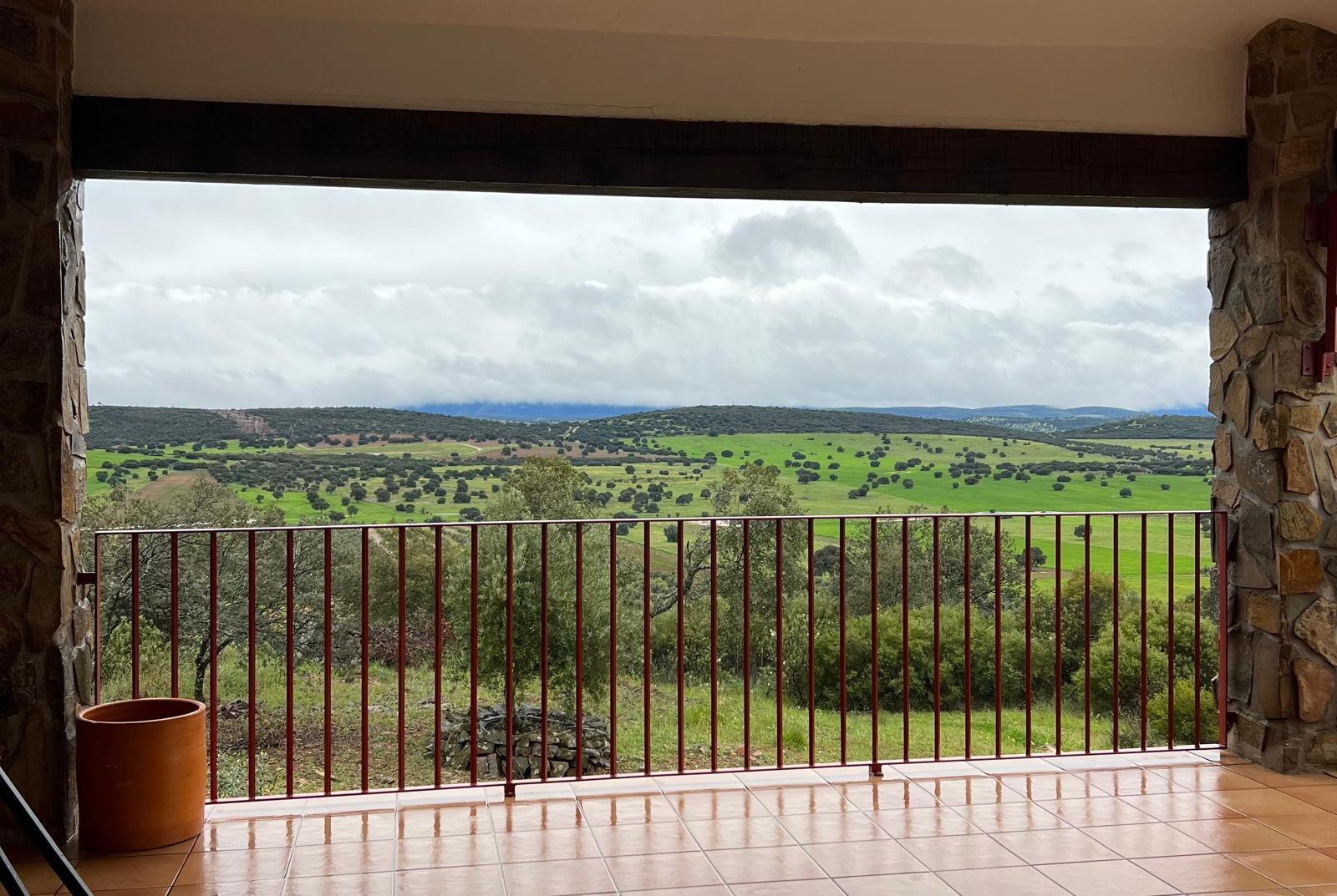 Villa en Venta - Ciudad Real, Castilla-La Mancha - 2