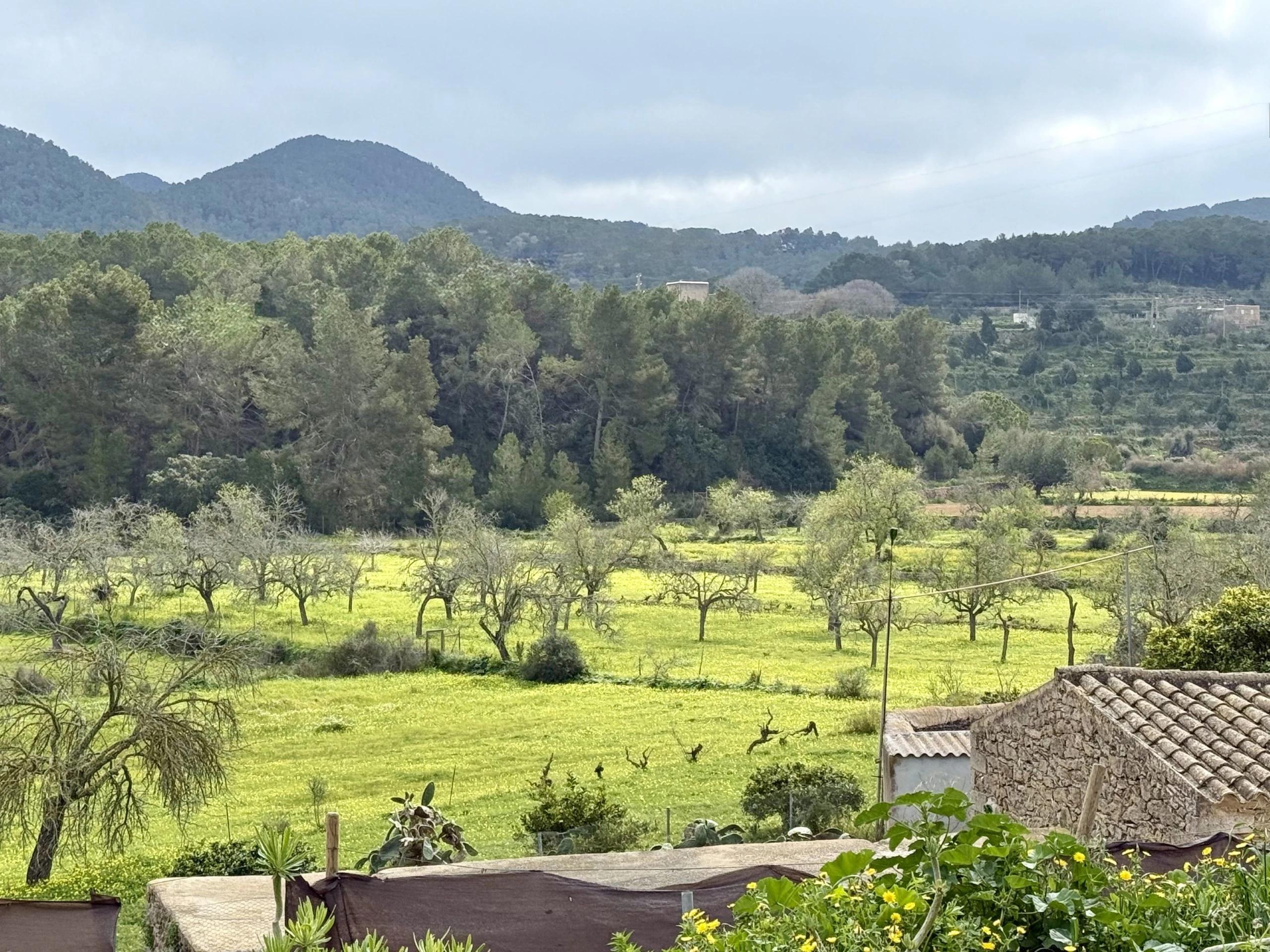 Casa en Venta en Diseminado Can Casacas - 43