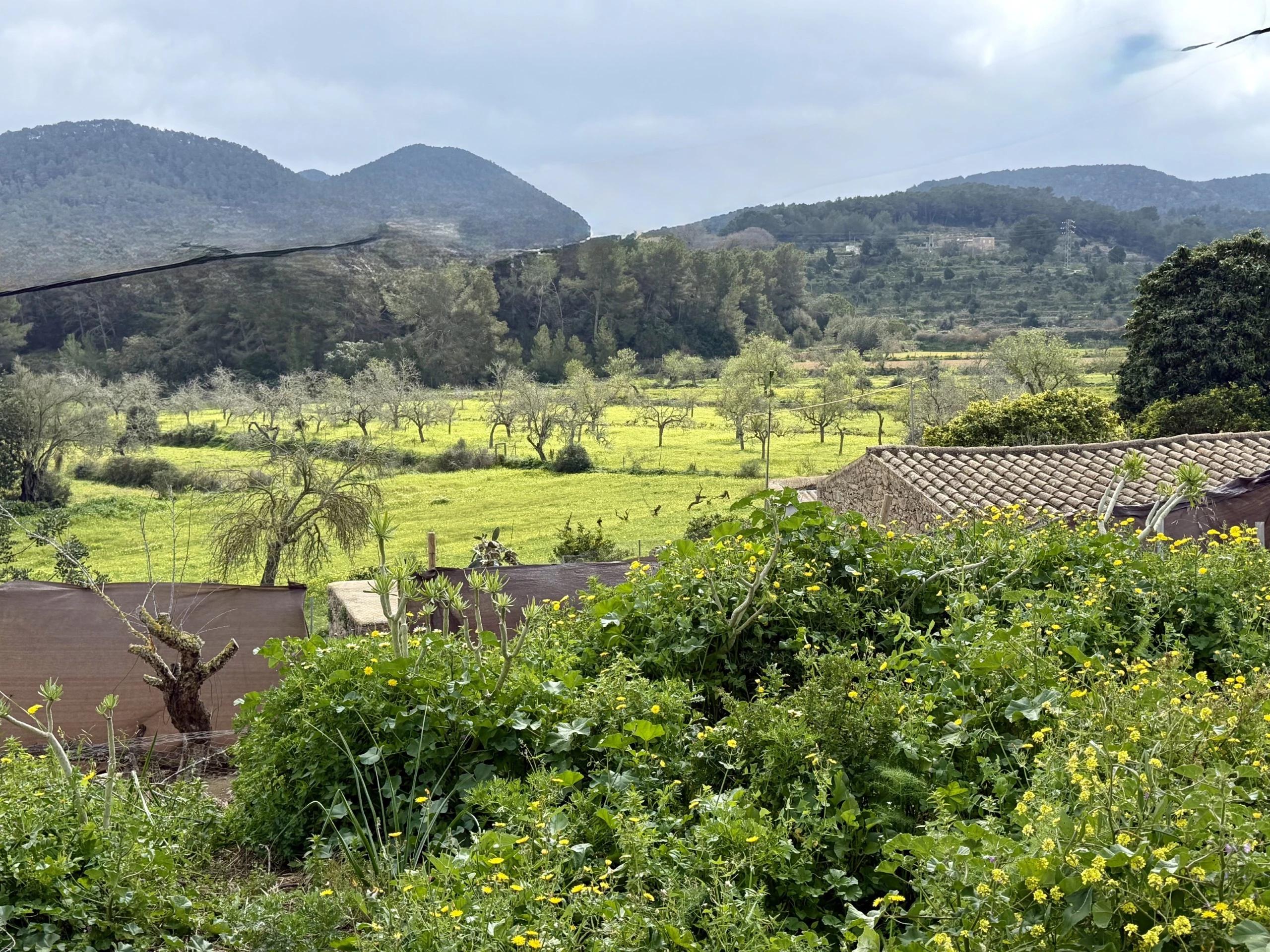 Casa en Venta en Diseminado Can Casacas - 46