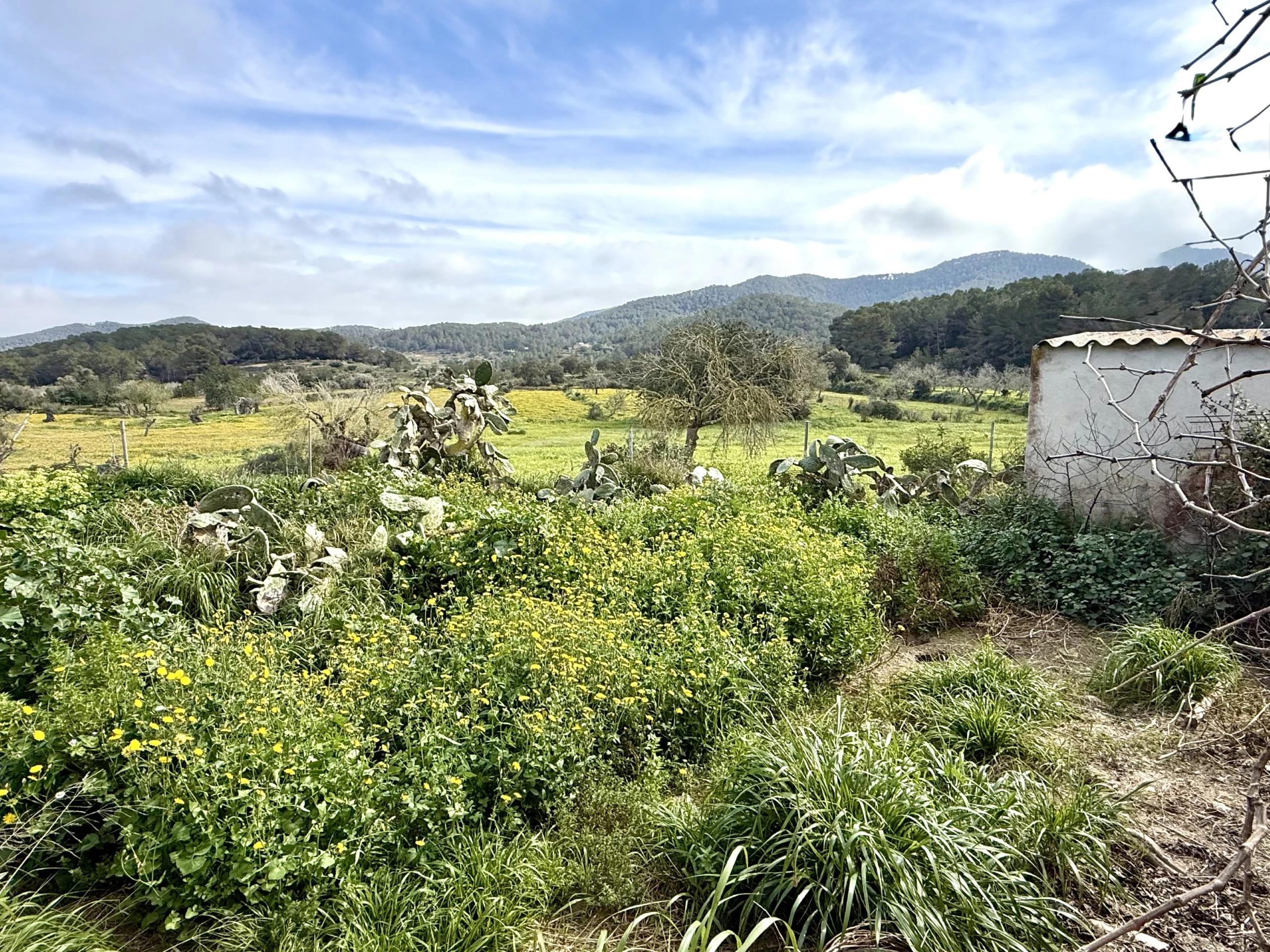 Casa en Venta en Diseminado Can Casacas - 64