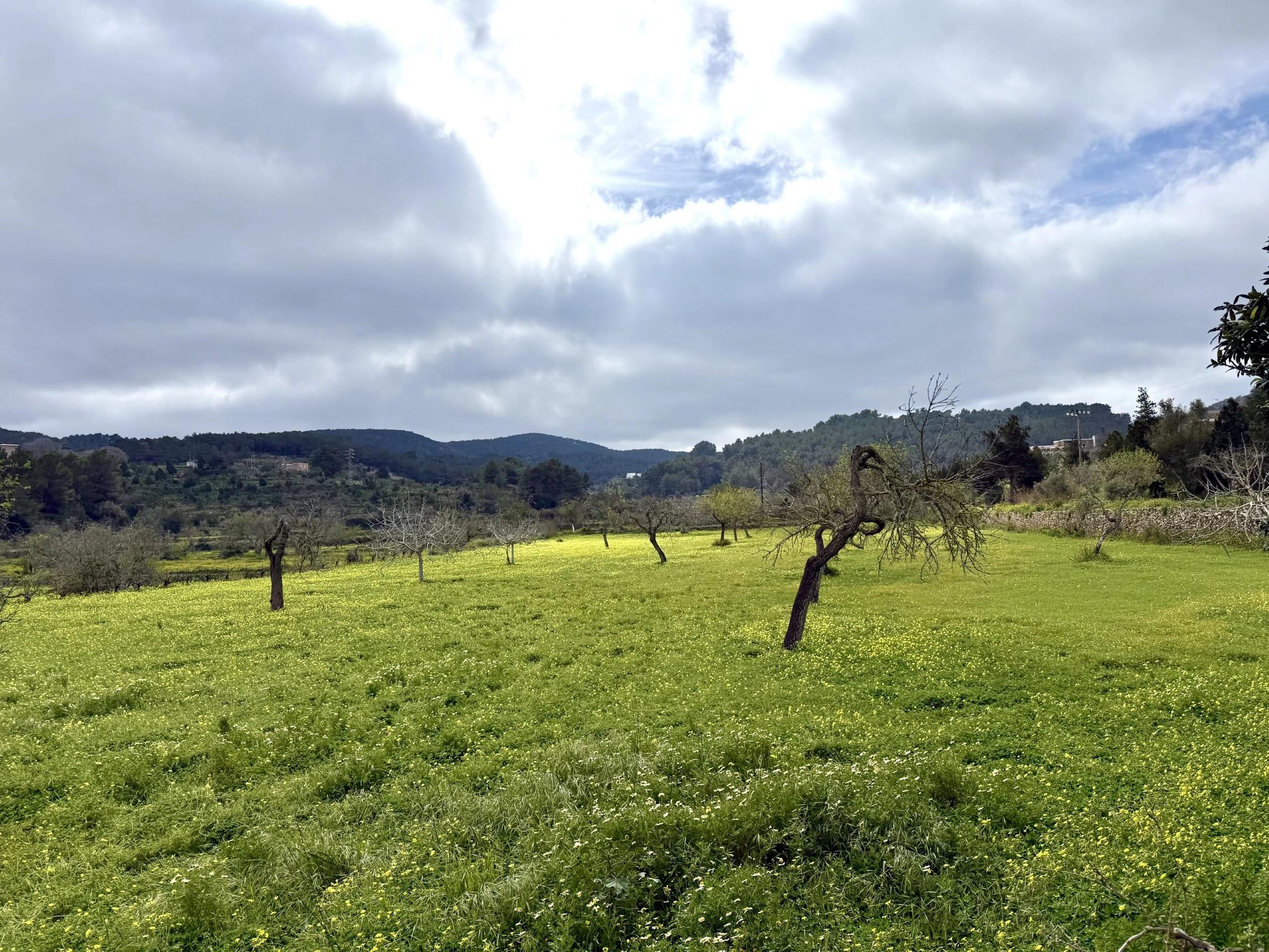 Casa en Venta en Diseminado Can Casacas - 106