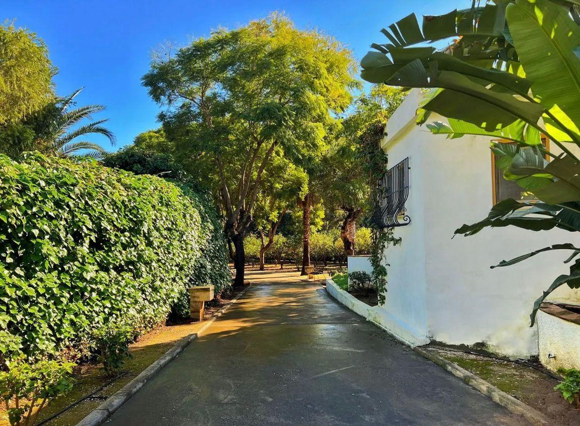 Villa en Venta en Partida la Plana - 17