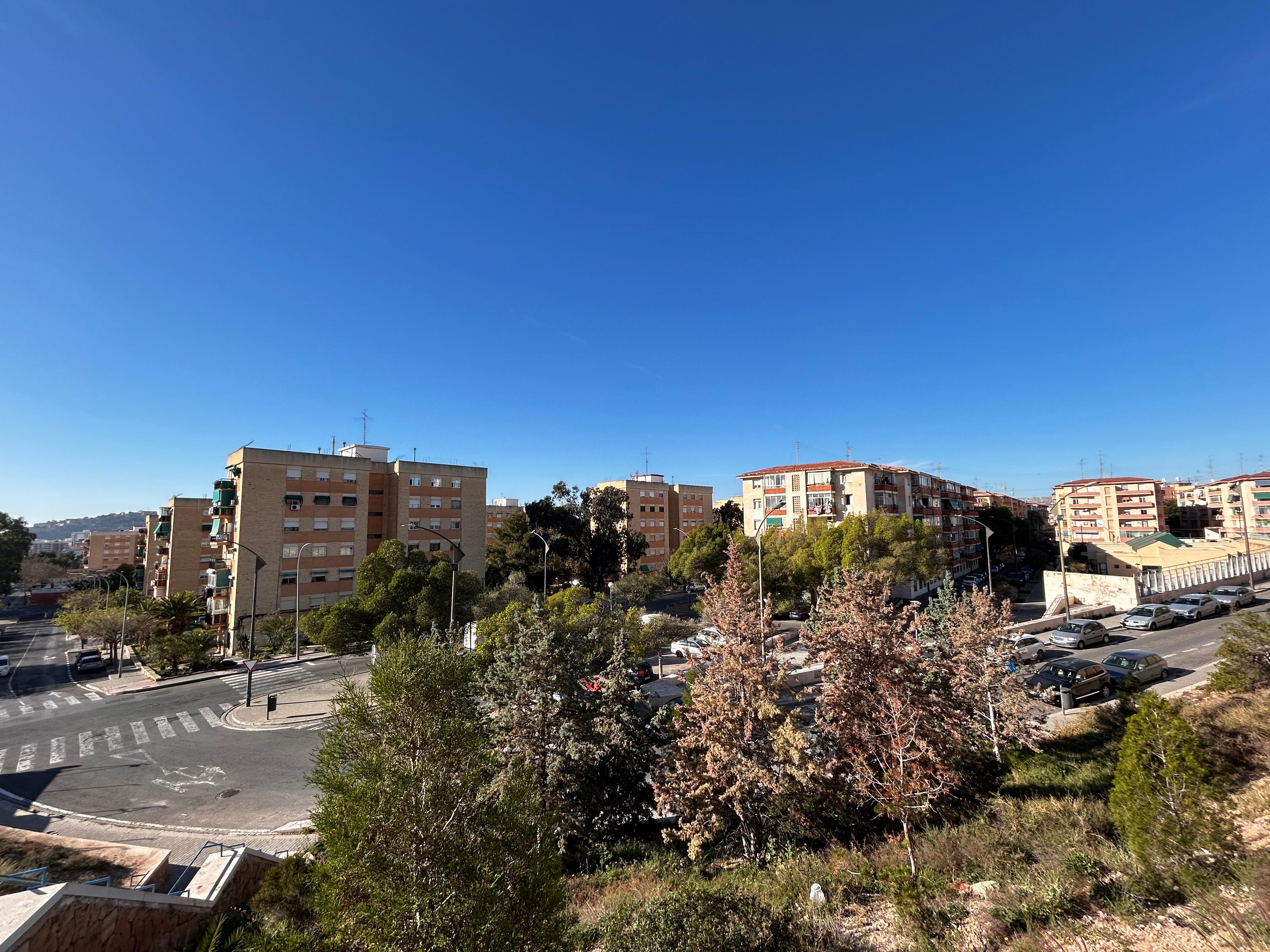 Piso en Venta en Calle Maestro Rosillo - 5