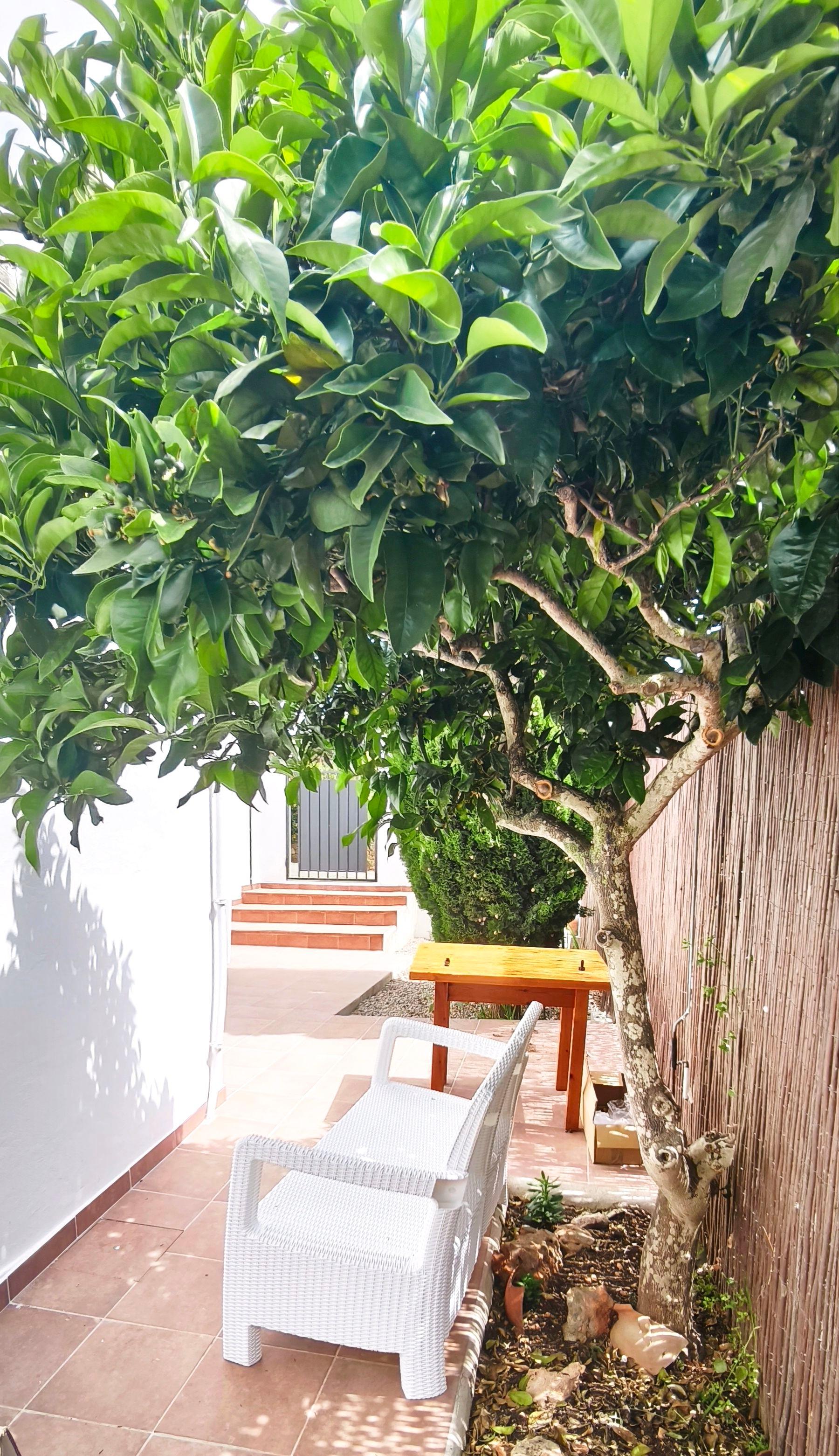 Adosado en Alquiler en Carrer de Cas Mut - 22