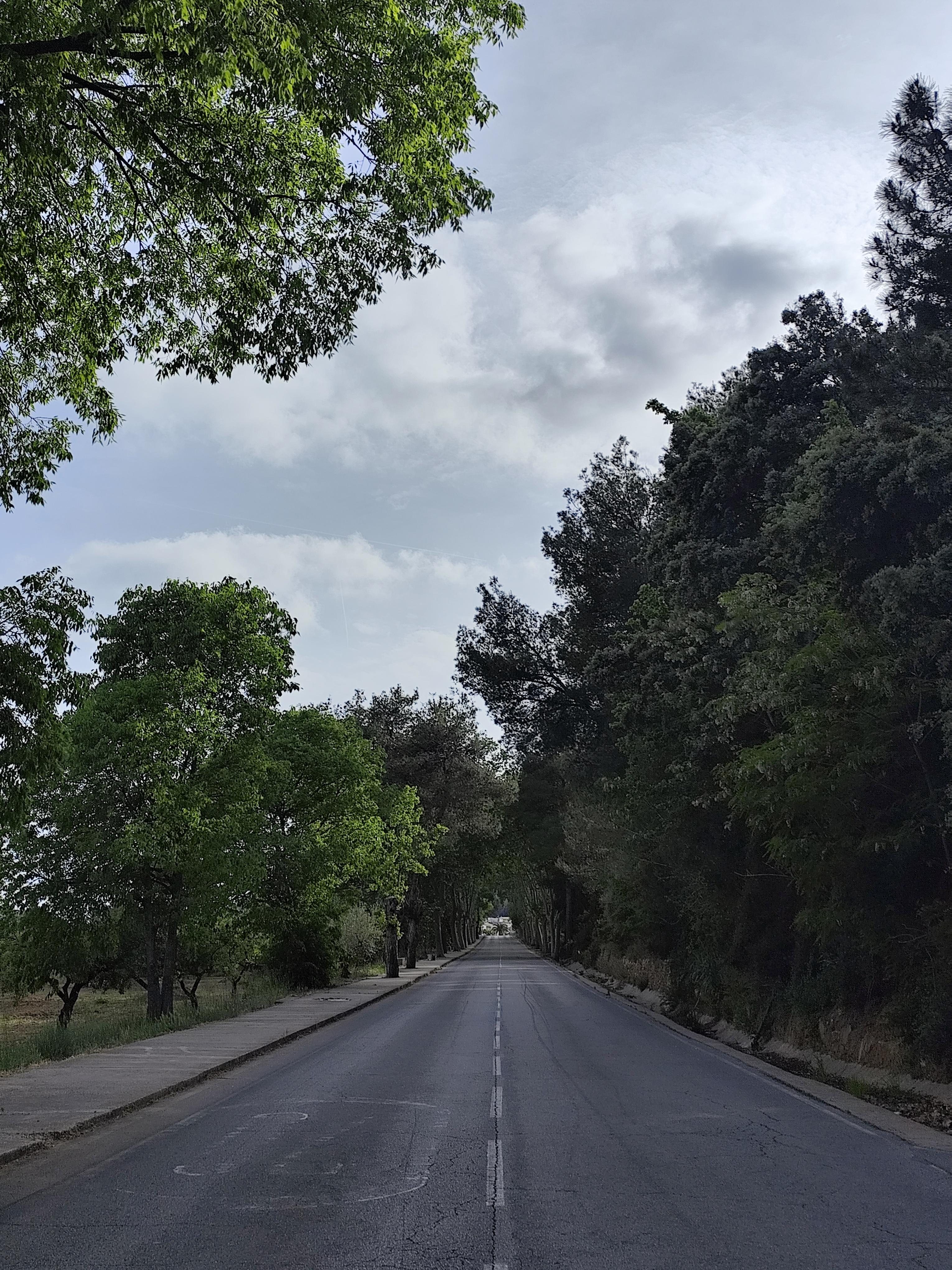 Terreno en Venta en Calle el Boquero - 10