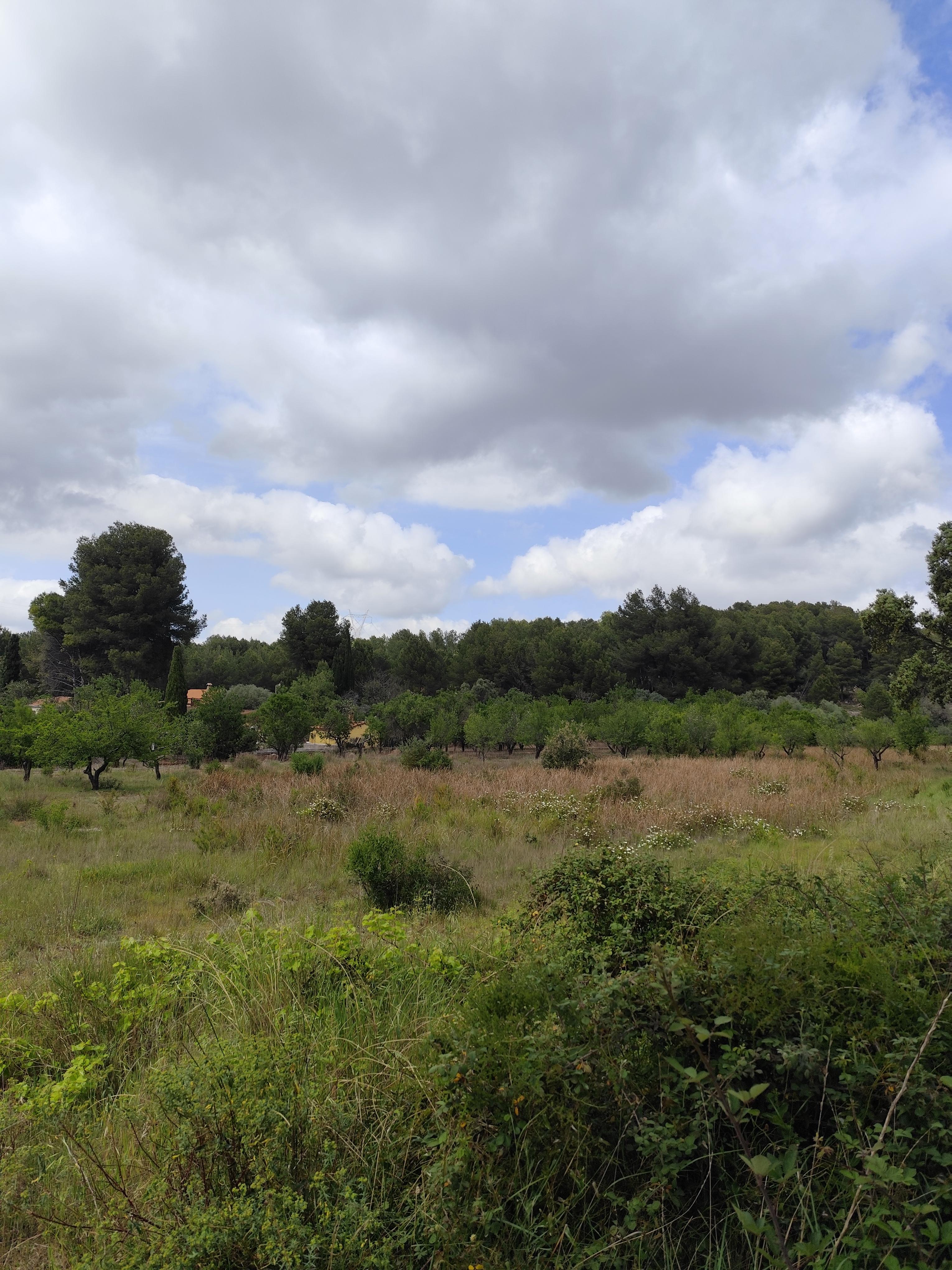Terreno en Venta en Calle el Boquero - 3