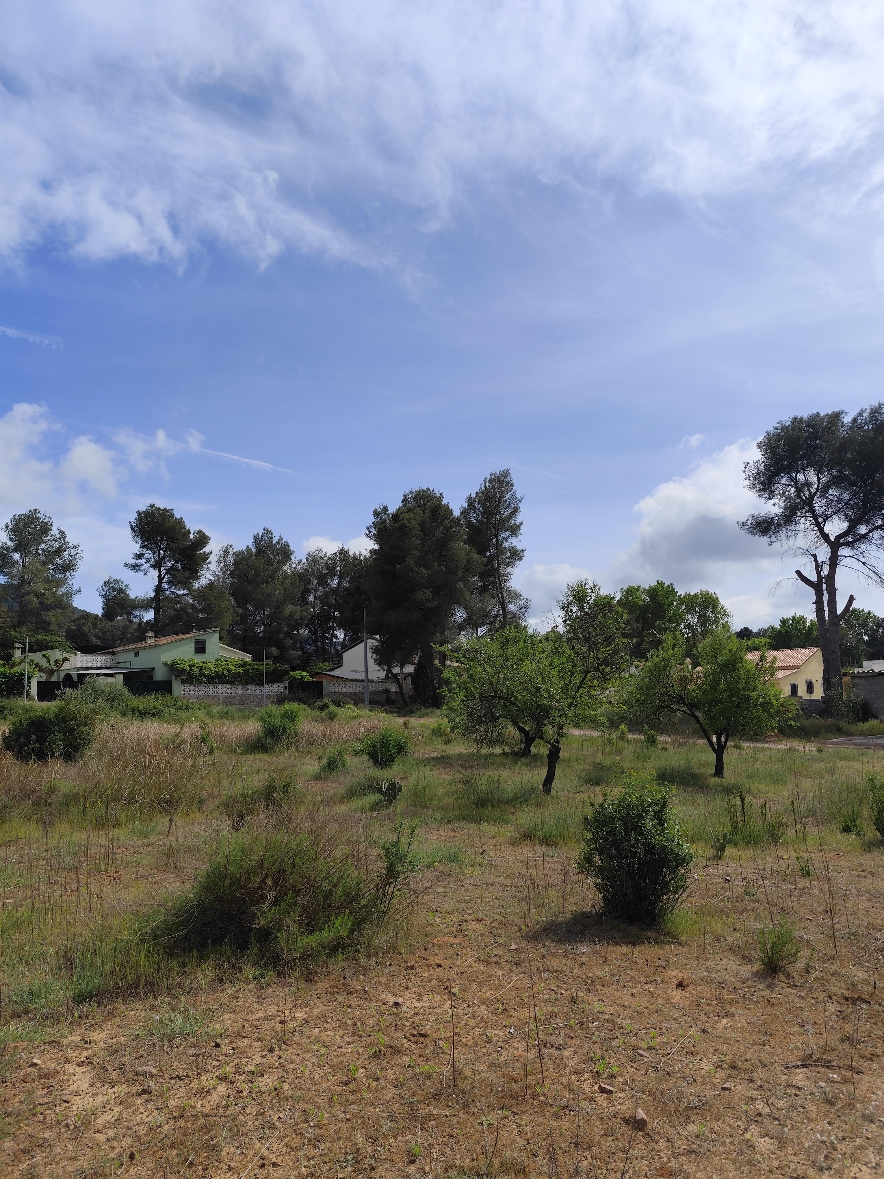 Terreno en Venta en Calle el Boquero - 7