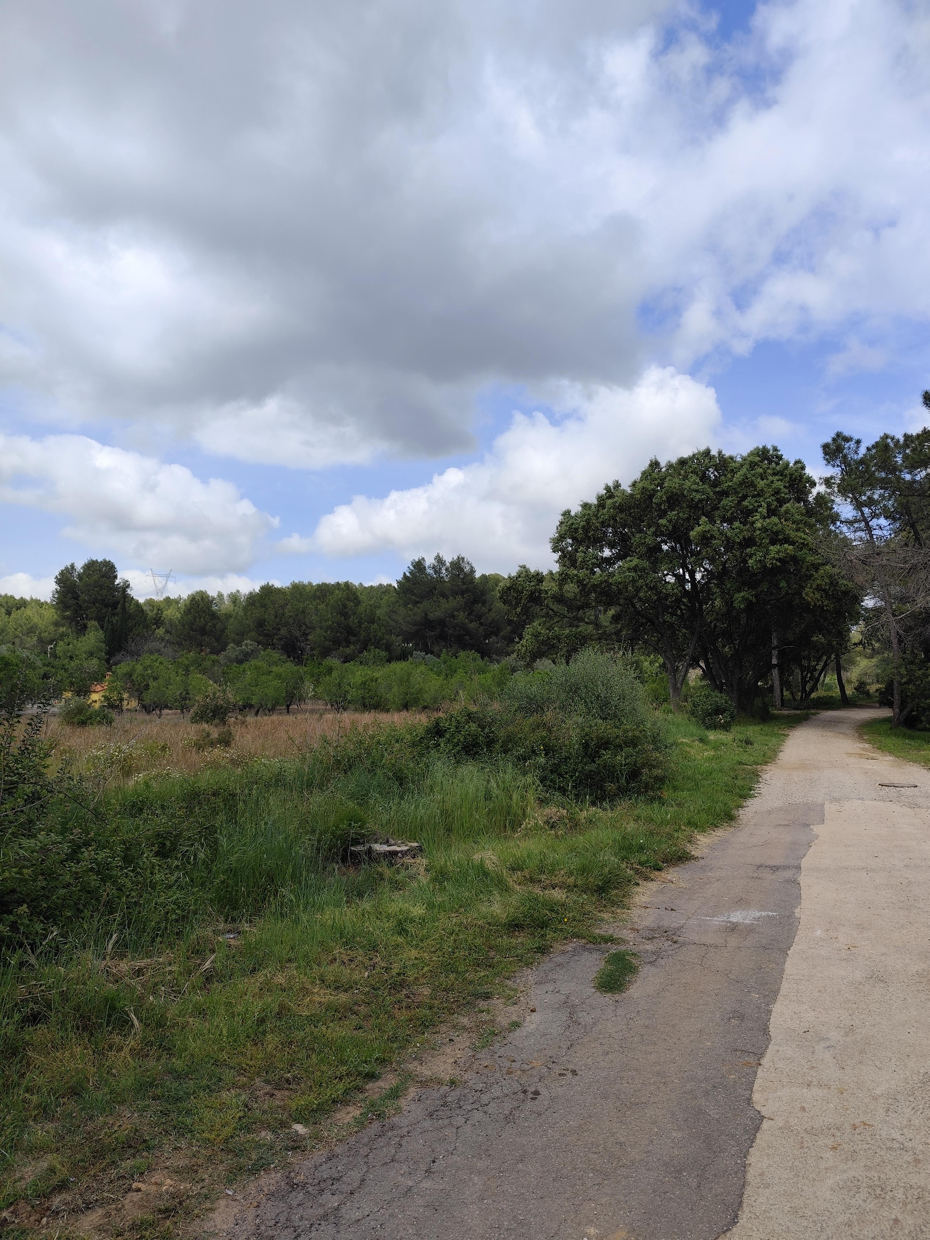 Terreno en Venta en Calle el Boquero - 6