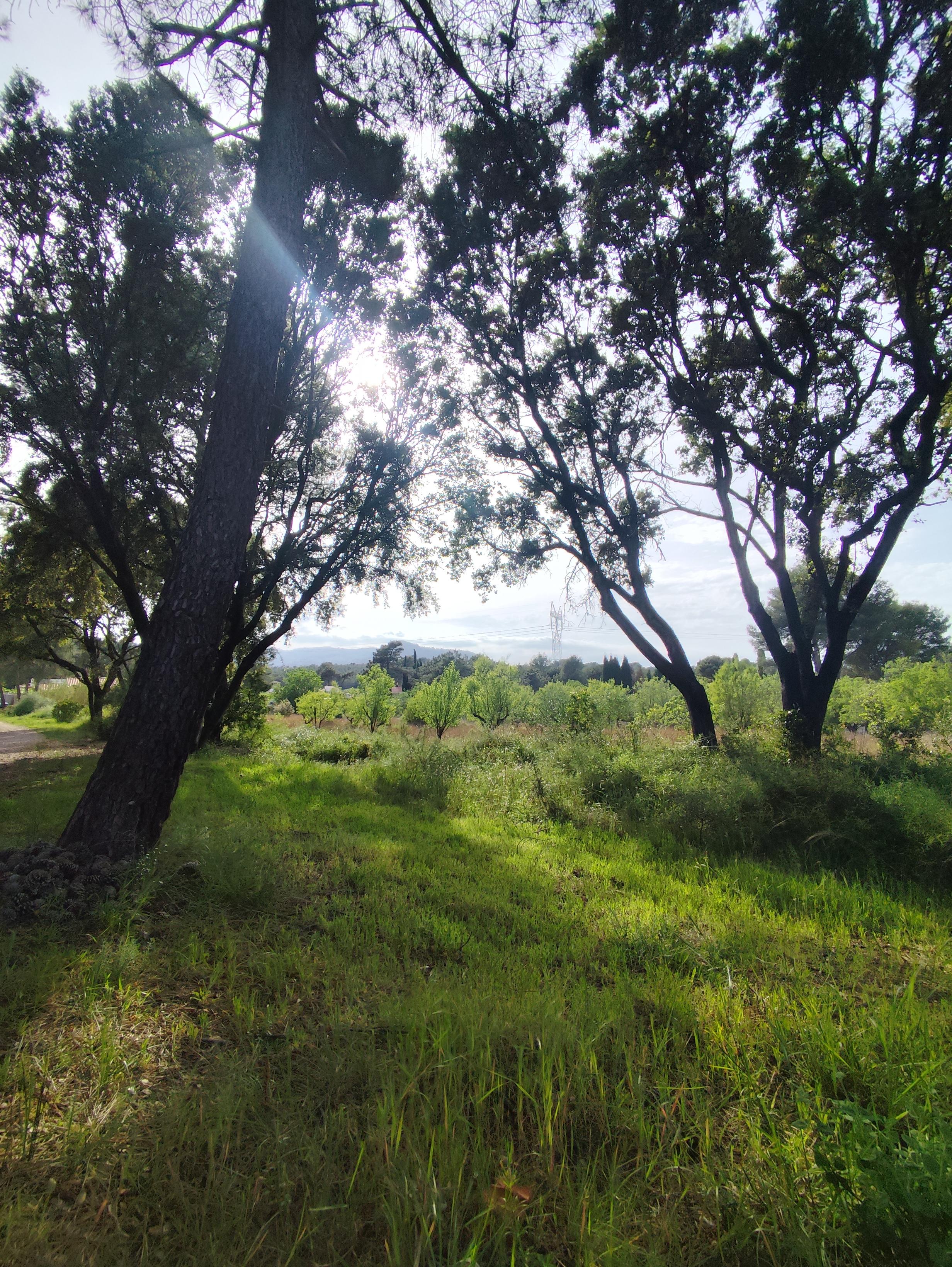Terreno en Venta en Calle el Boquero - 8
