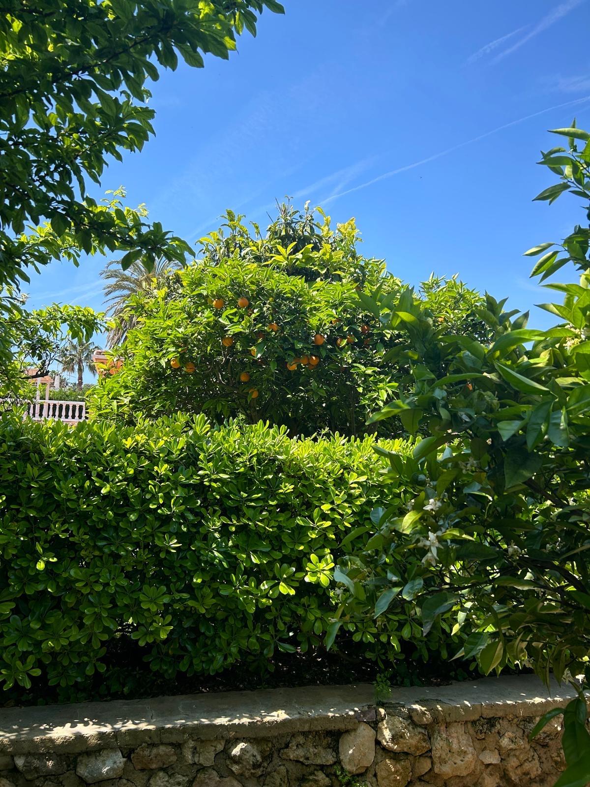 Casa en Venta - Urb. Tancat de l'Alter - 3