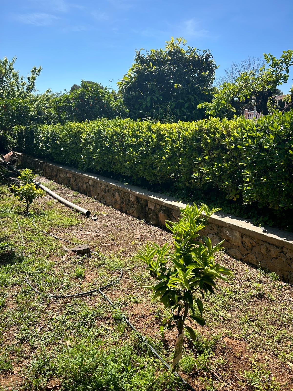 Casa en Venta - Urb. Tancat de l'Alter - 6