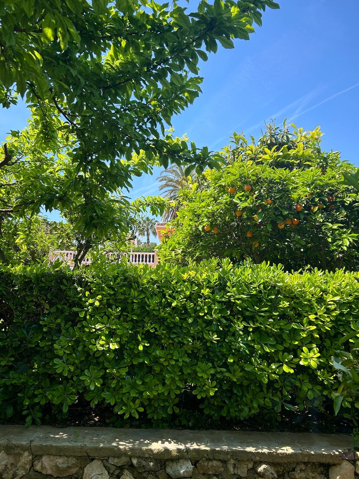 Casa en Venta - Urb. Tancat de l'Alter - 2