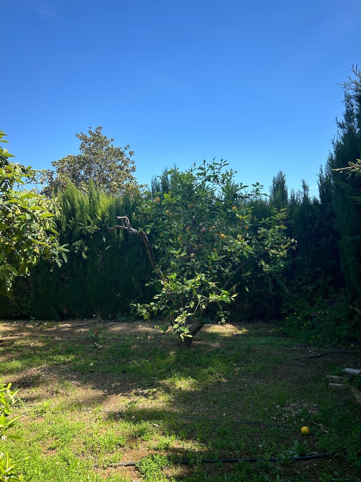 Casa en Venta - Urb. Tancat de l'Alter - 10