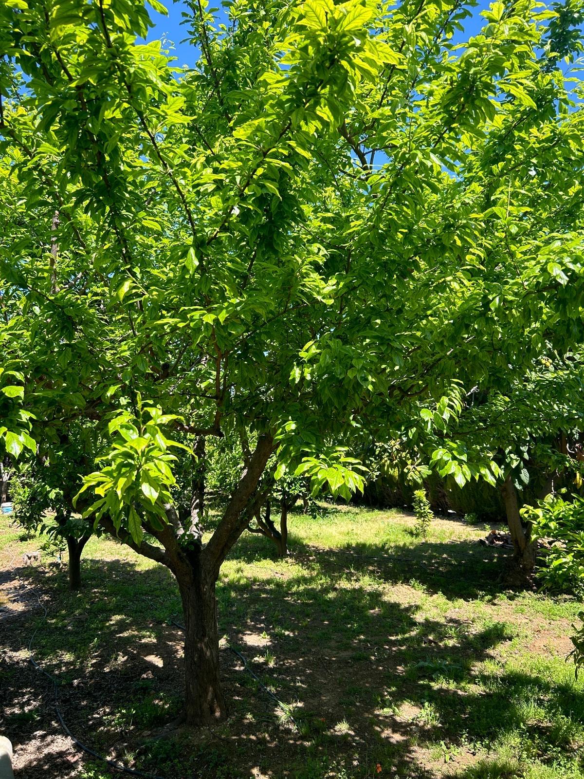 Casa en Venta - Urb. Tancat de l'Alter - 11