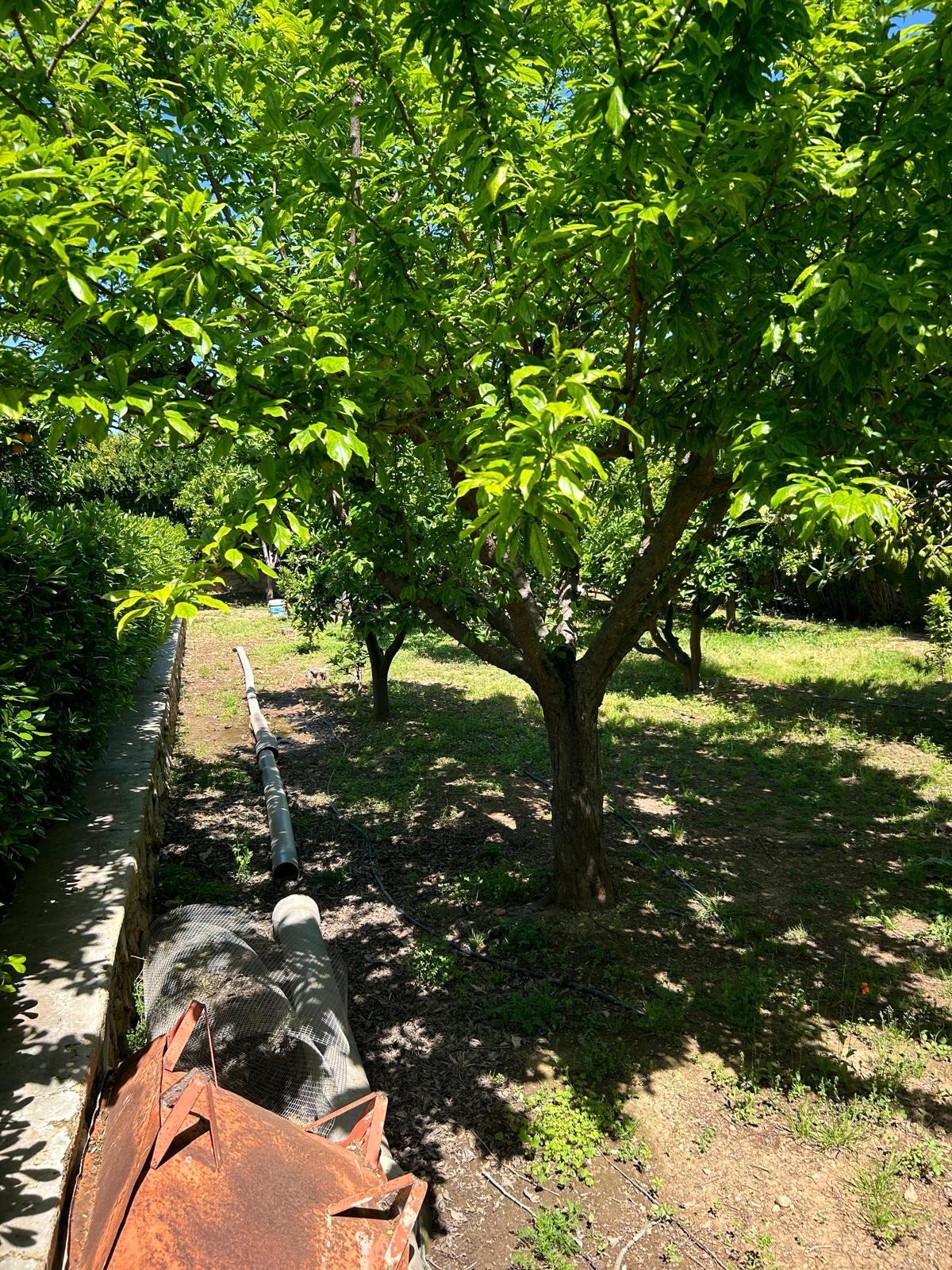 Casa en Venta - Urb. Tancat de l'Alter - 12