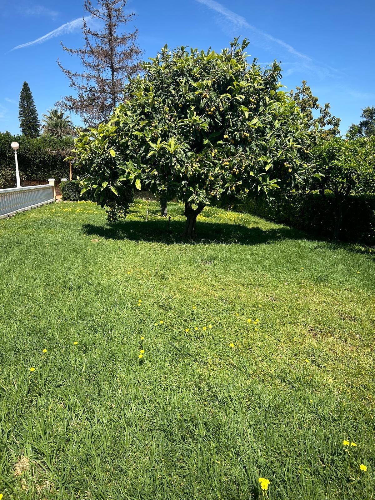 Casa en Venta - Urb. Tancat de l'Alter - 14