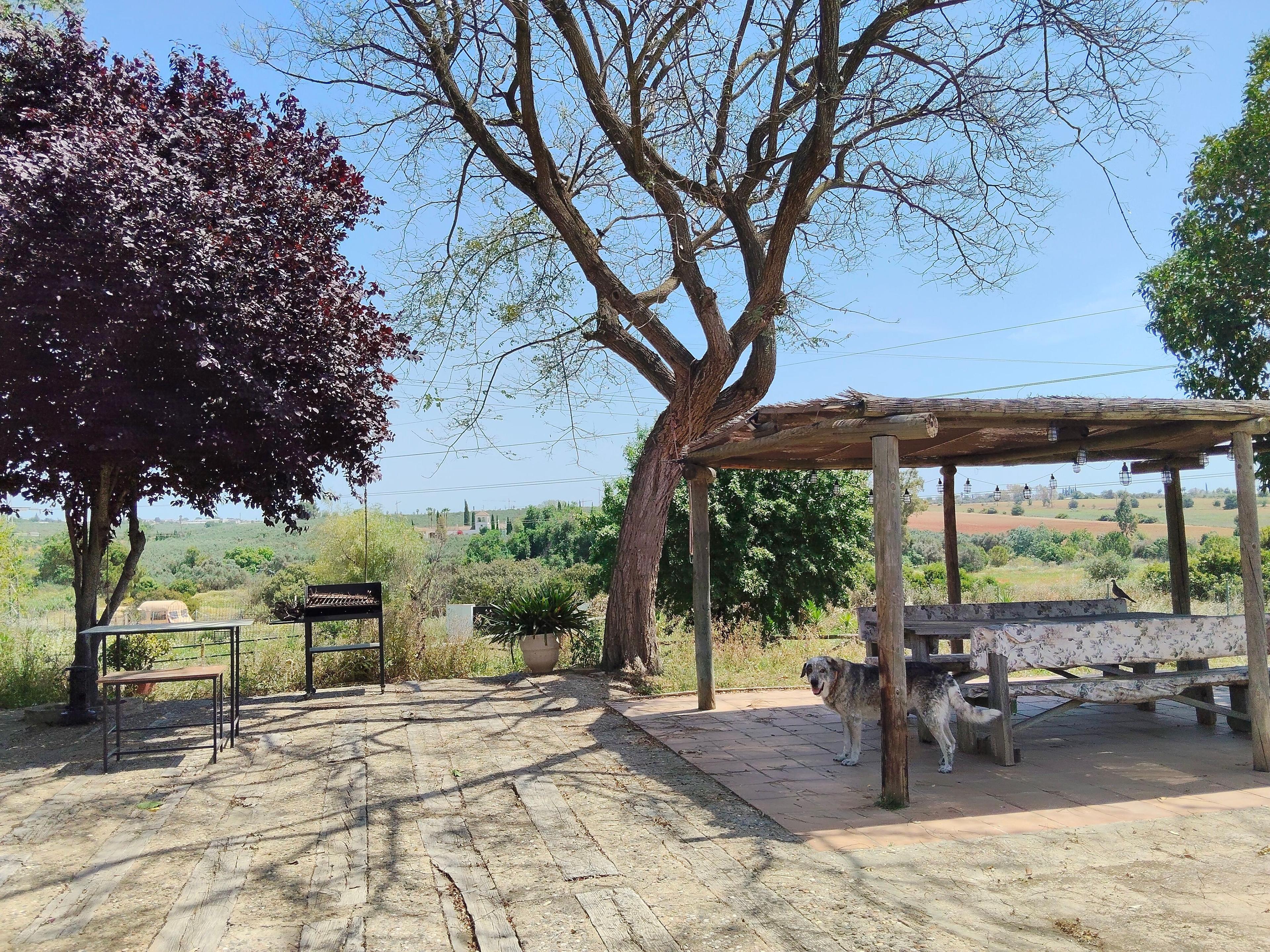 Villa en Venta en C. Miguel Delibes - 7