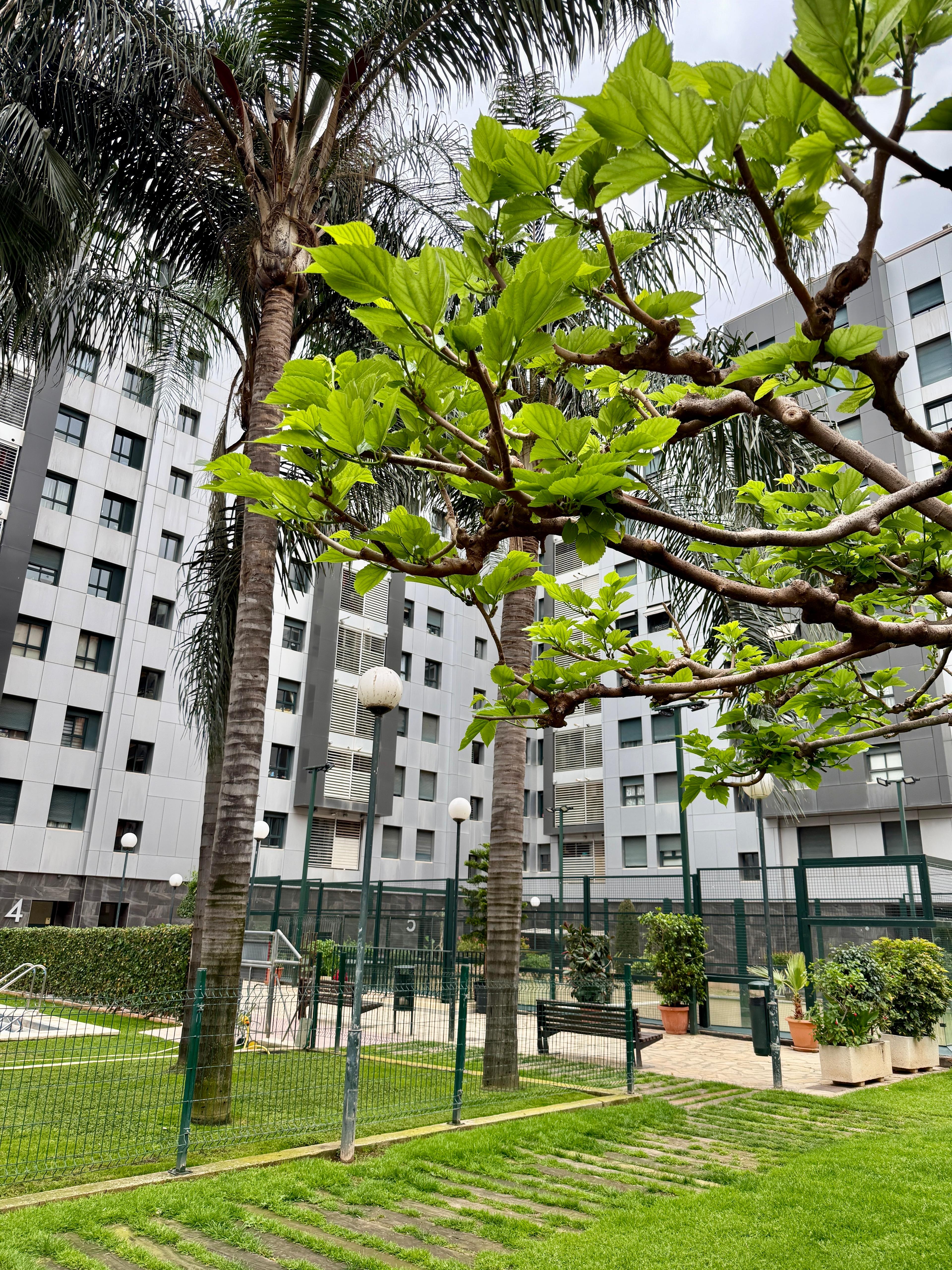 Piso en Alquiler en Carrer de Trafalgar - 22