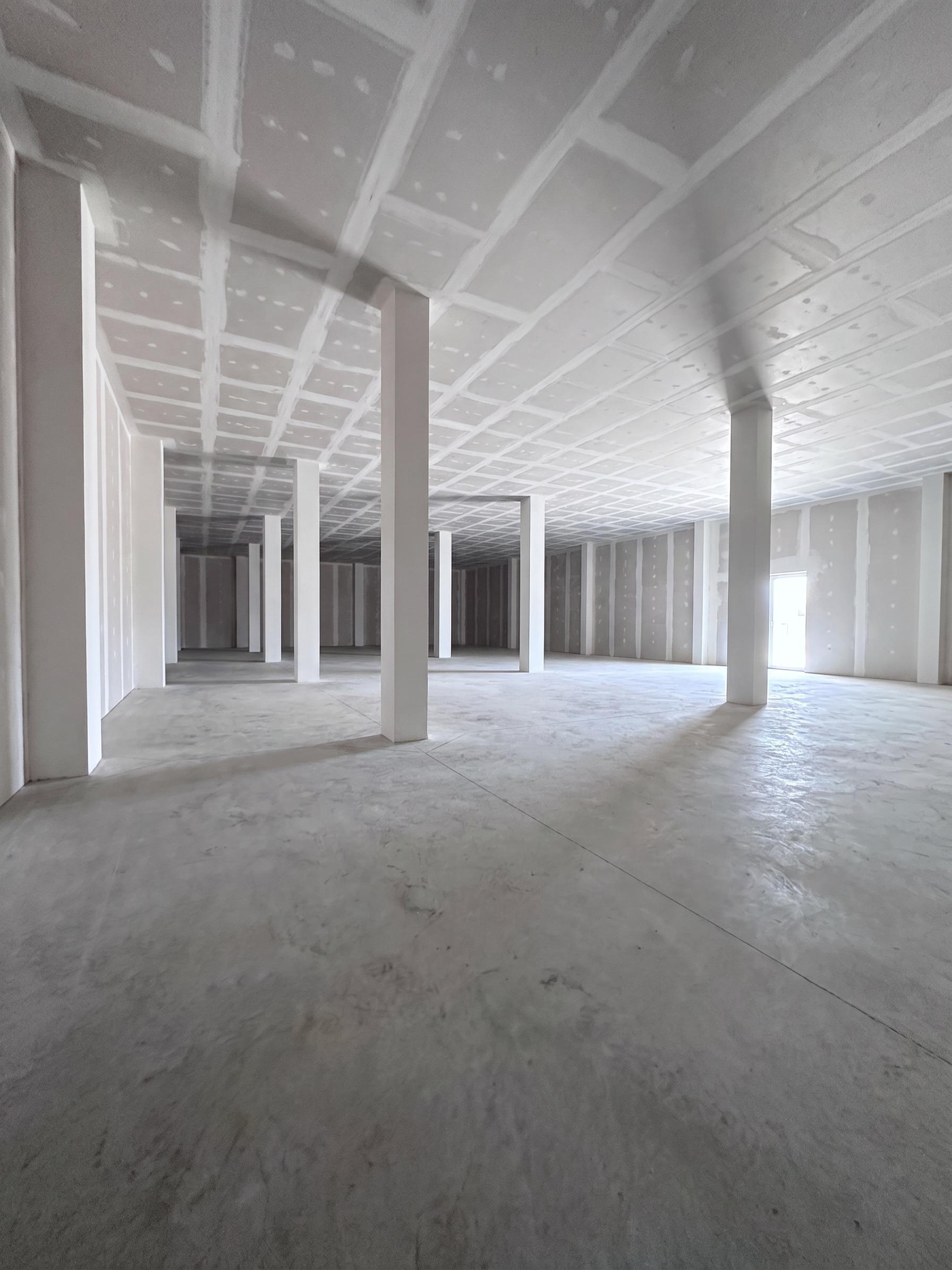 Local en Alquiler en Avenida de Palmas Altas - 3