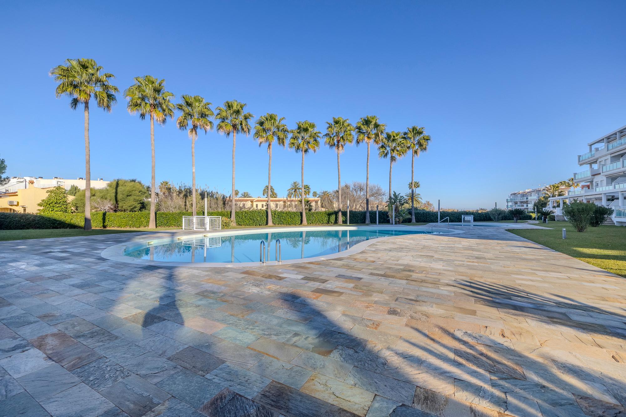 Piso en Venta en Carretera de les Marines a Dénia - 4