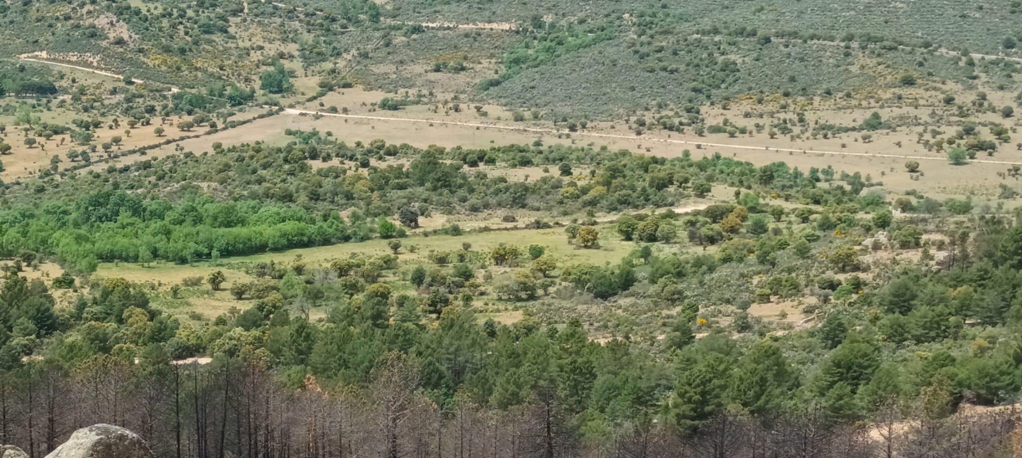 Parcela en Venta - P.º de la Dehesa del Valle - 2