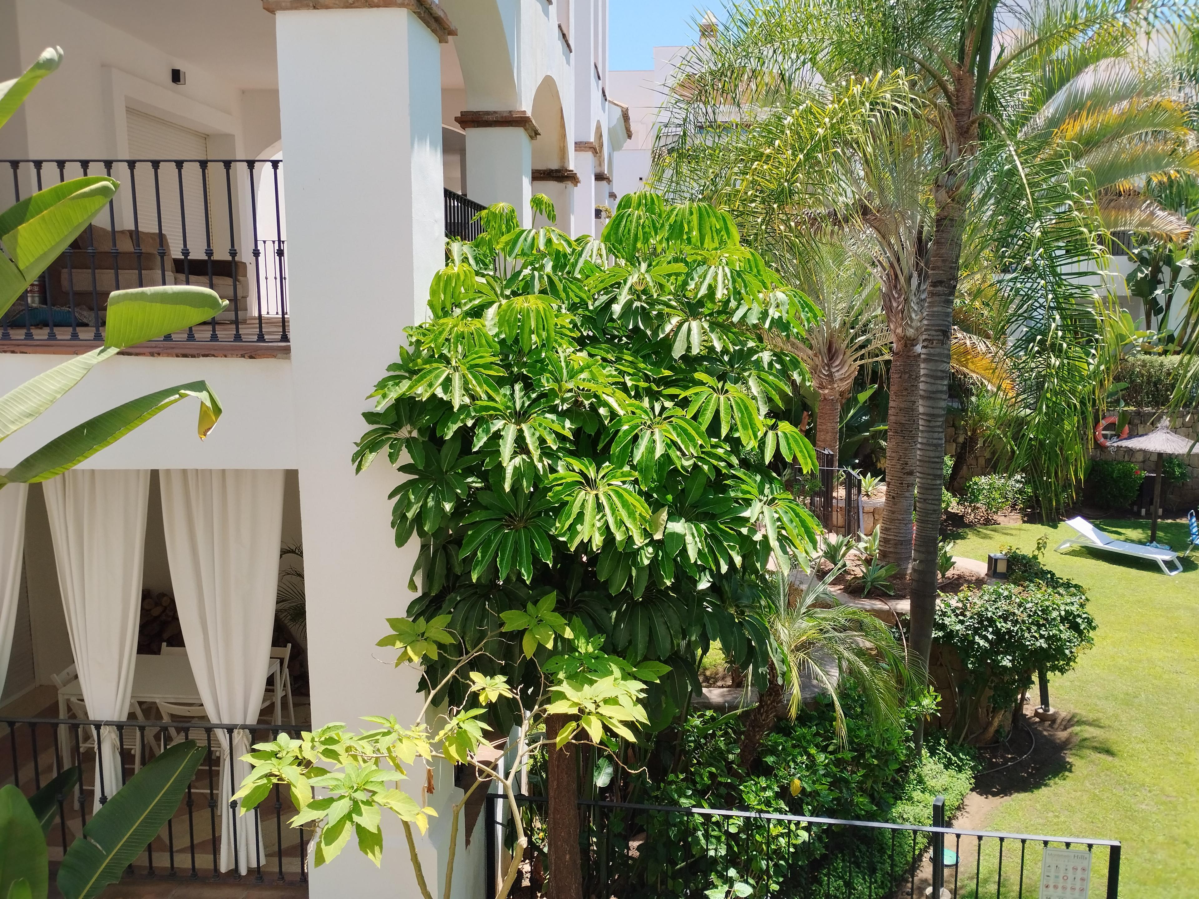 Piso en Venta en Calle Lago de los Cisnes - 65