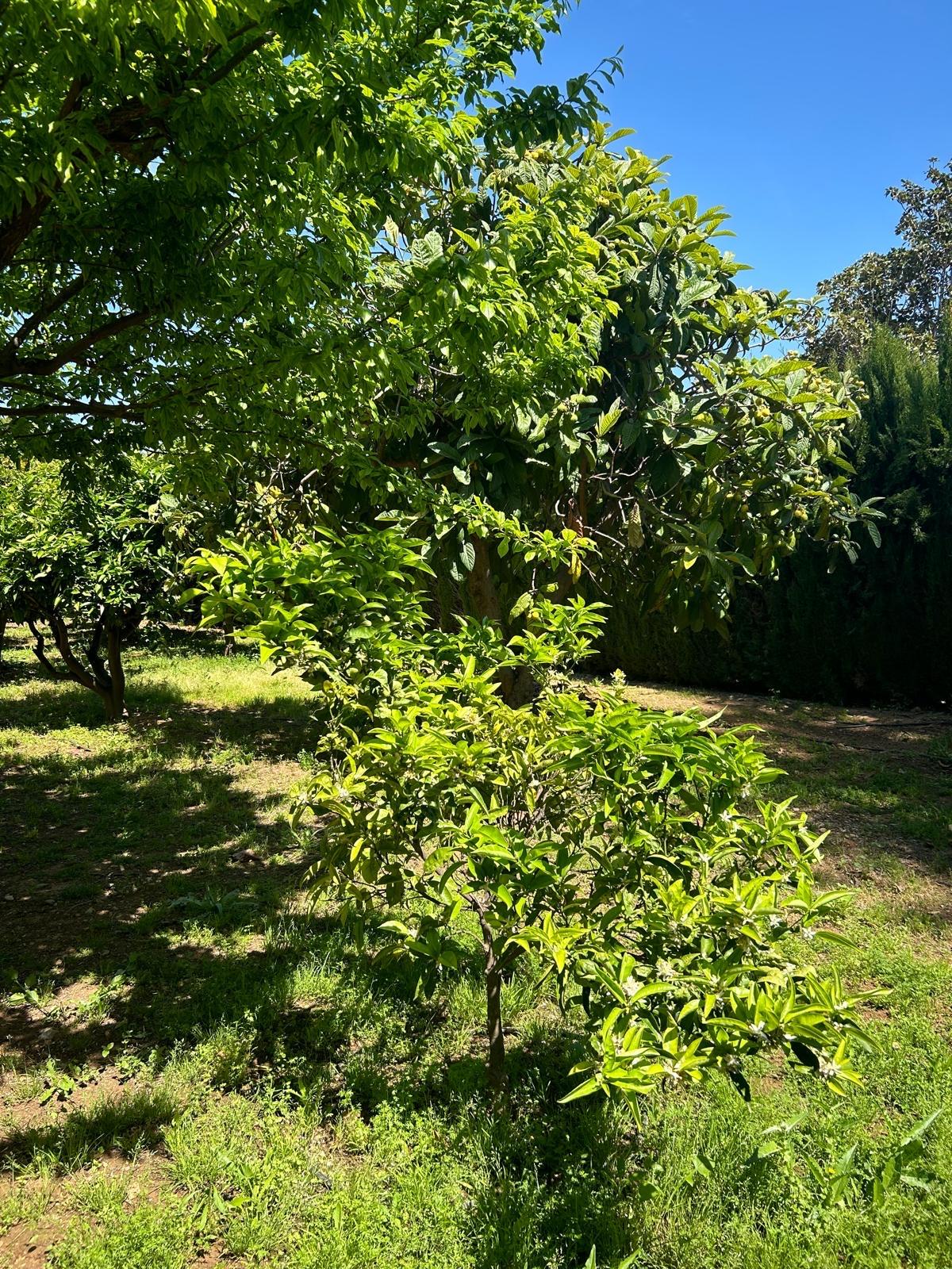 Casa en Venta - Urb. Tancat de l'Alter - 46