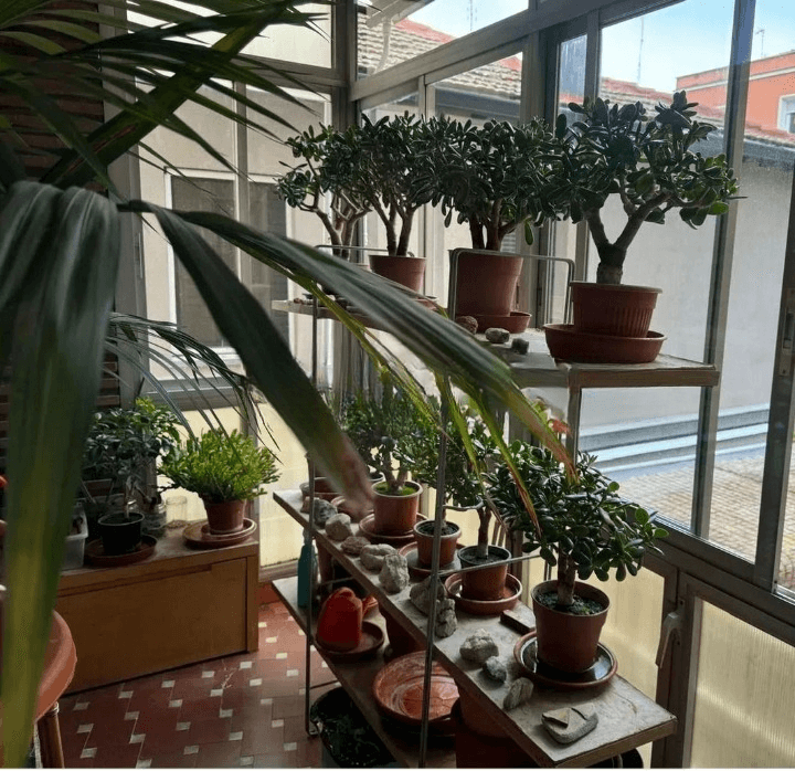 Piso en Venta en Calle de Hermenegilda Martínez - 7
