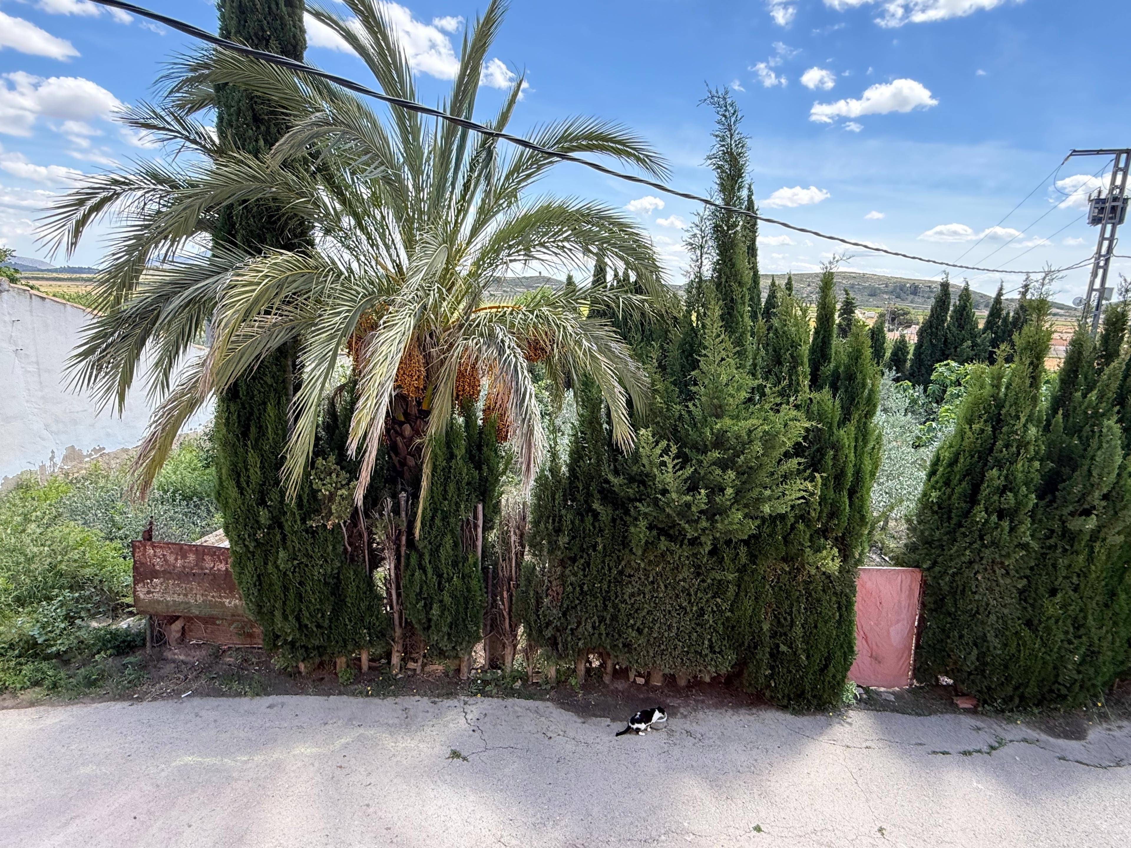 Casa Rústica en Venta en Diseminado Trigo - 8