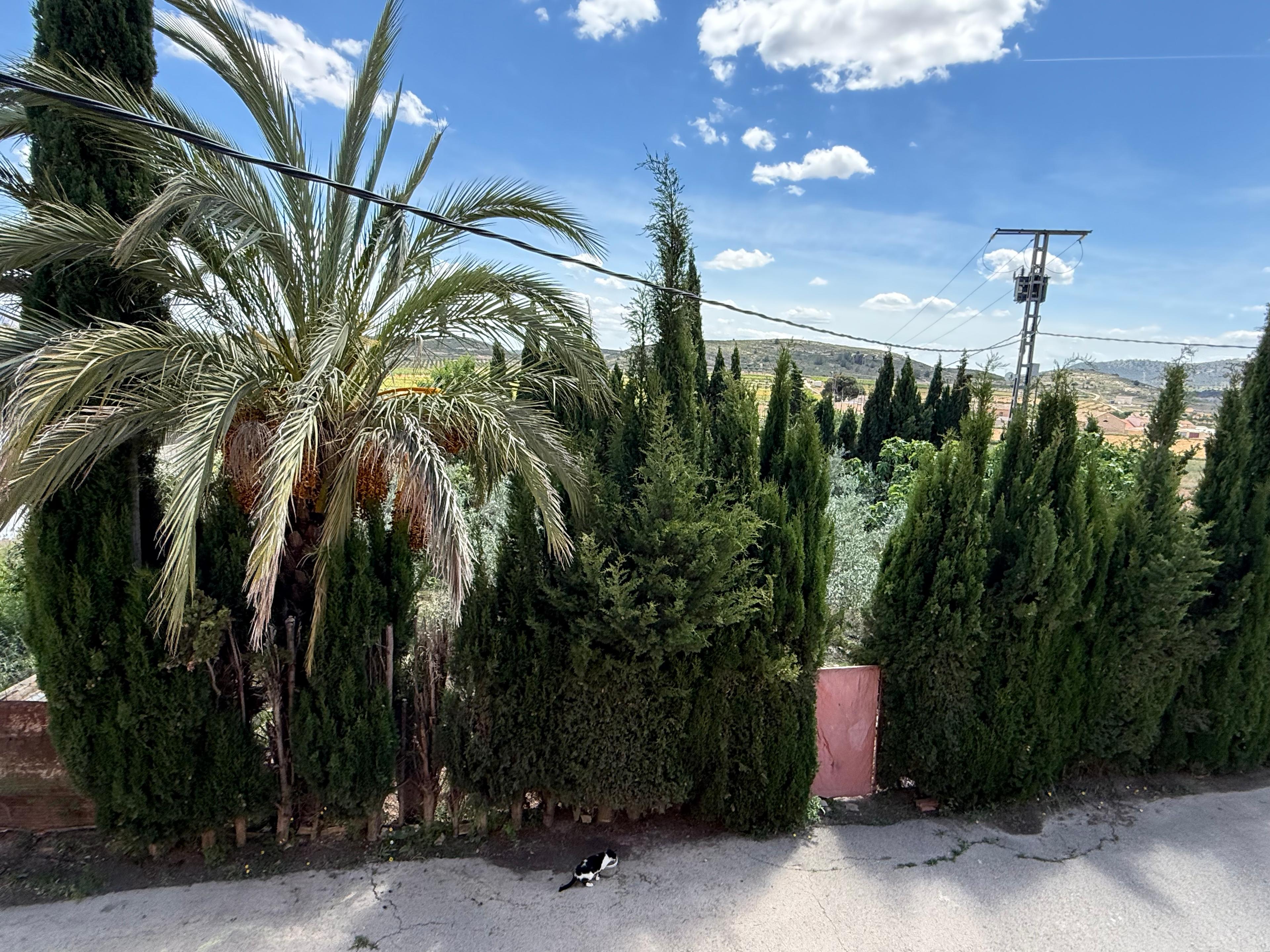 Casa Rústica en Venta en Diseminado Trigo - 7