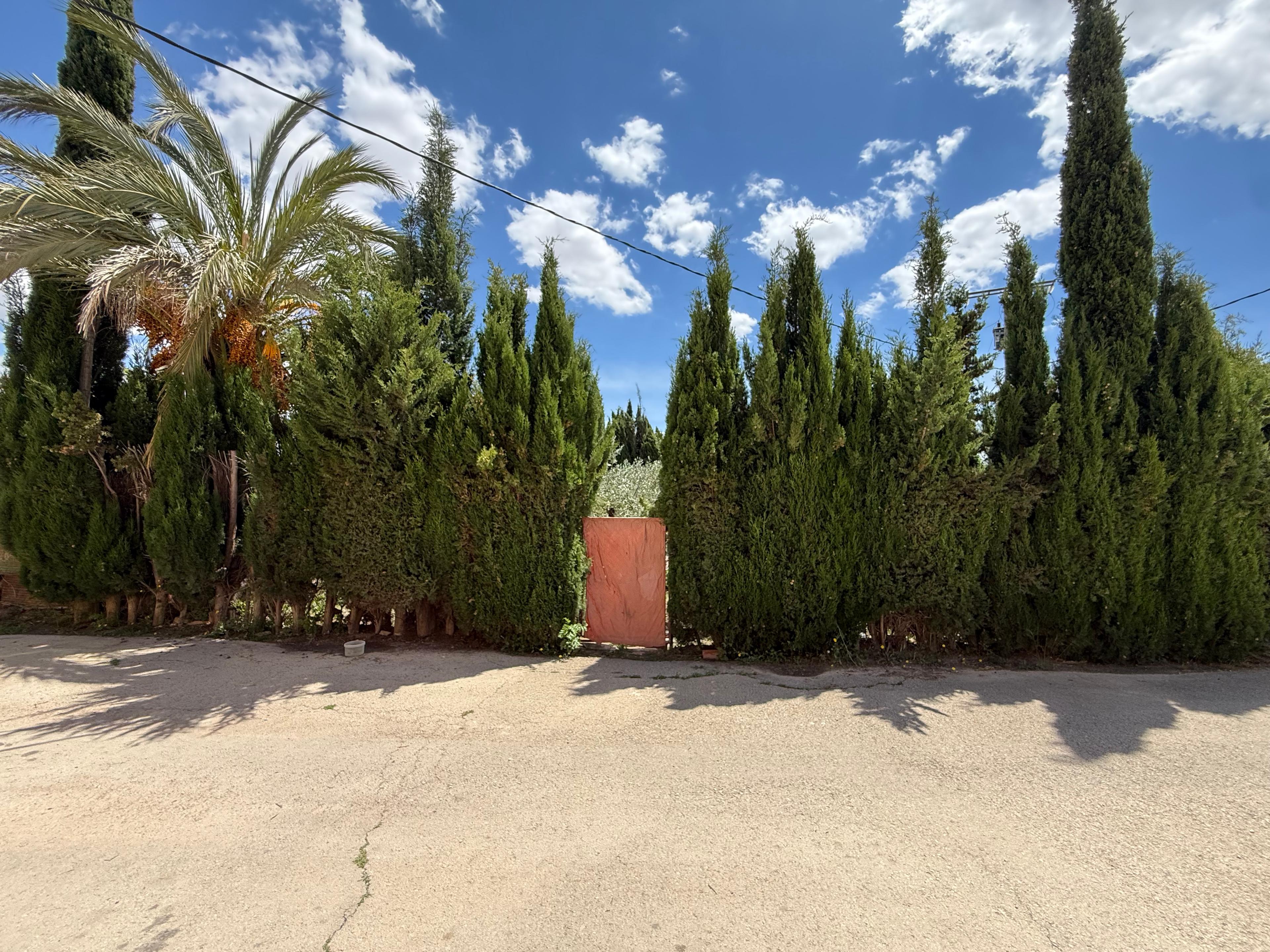 Casa Rústica en Venta en Diseminado Trigo - 35